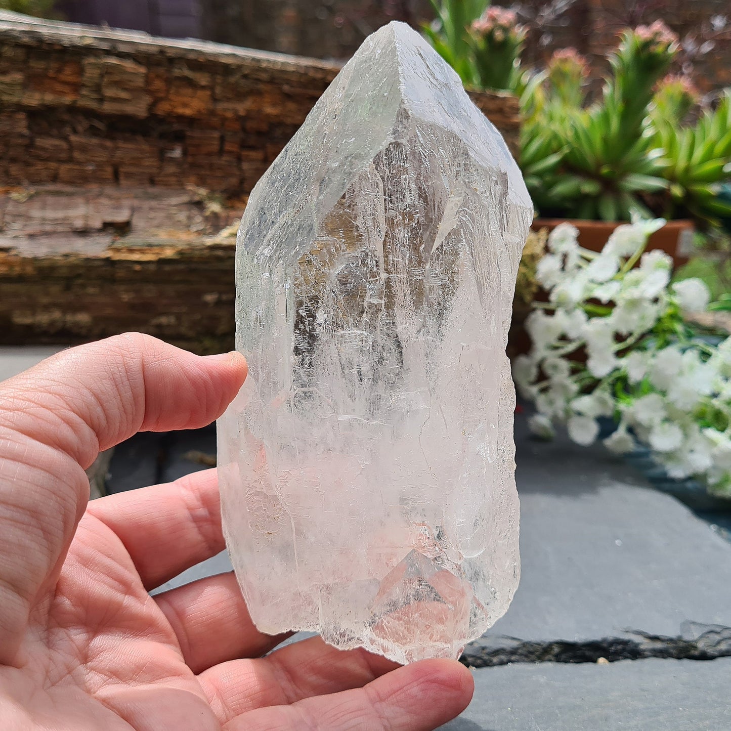 Discover the profound wisdom of Cathedral Quartz. Access Akashic Records, heighten psychic abilities, and Elevate your vibration and explore the angelic realms.