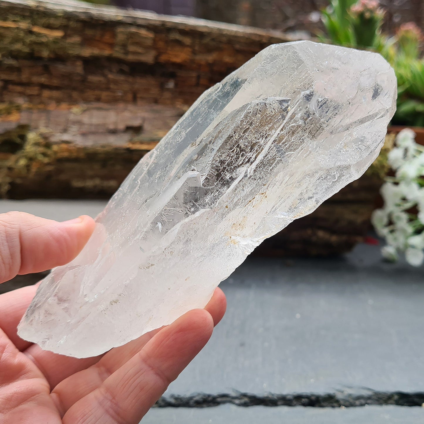 Discover the profound wisdom of Cathedral Quartz. Access Akashic Records, heighten psychic abilities, and Elevate your vibration and explore the angelic realms.