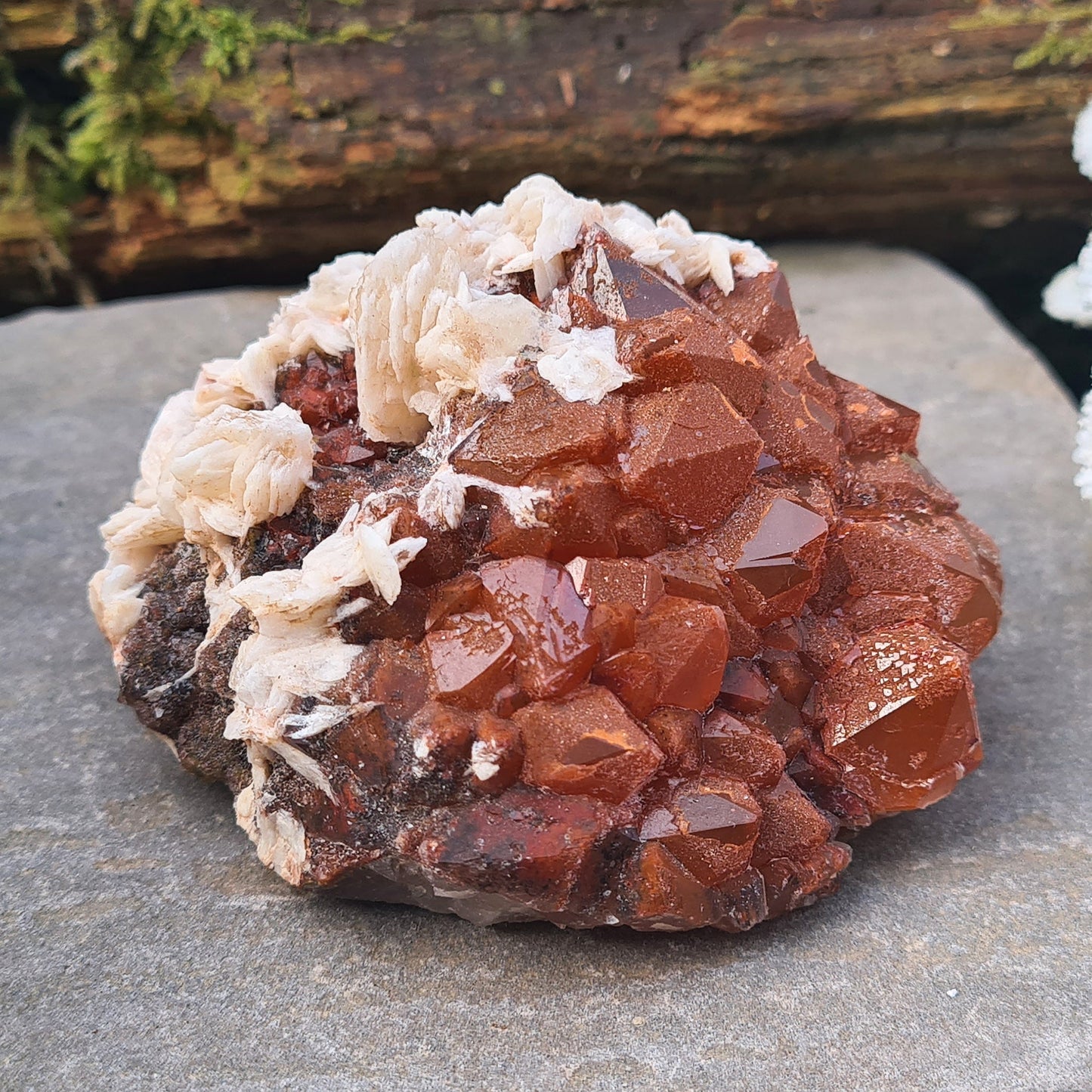 Discover the unique beauty of Red Quartz with Barite, a rare crystal known for its grounding and emotional healing properties. Collectors specimen.