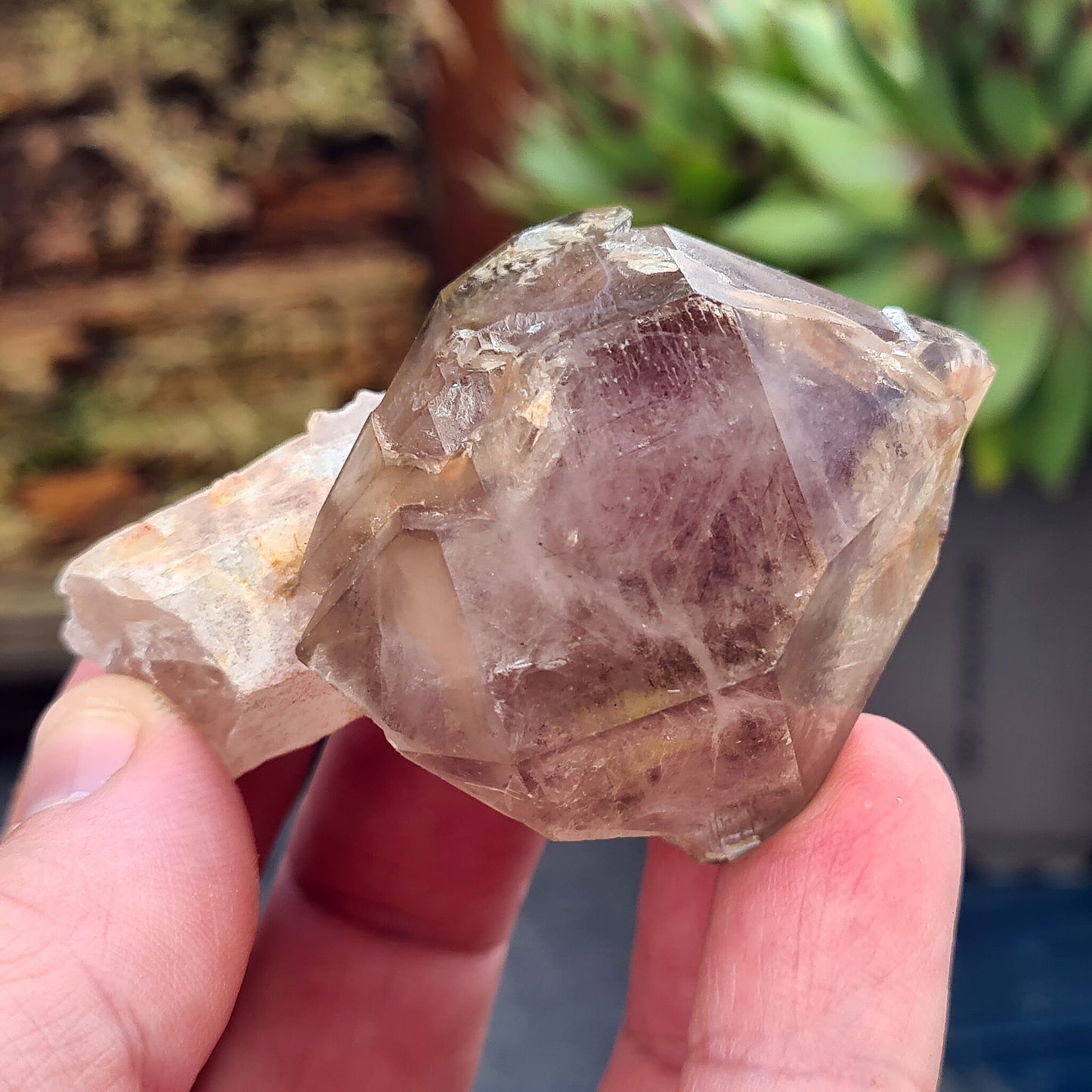 Smoky Amethyst Sceptre. This sceptre has a top growth of Smoky Amethyst that has naturally formed around a central Quartz "rod.