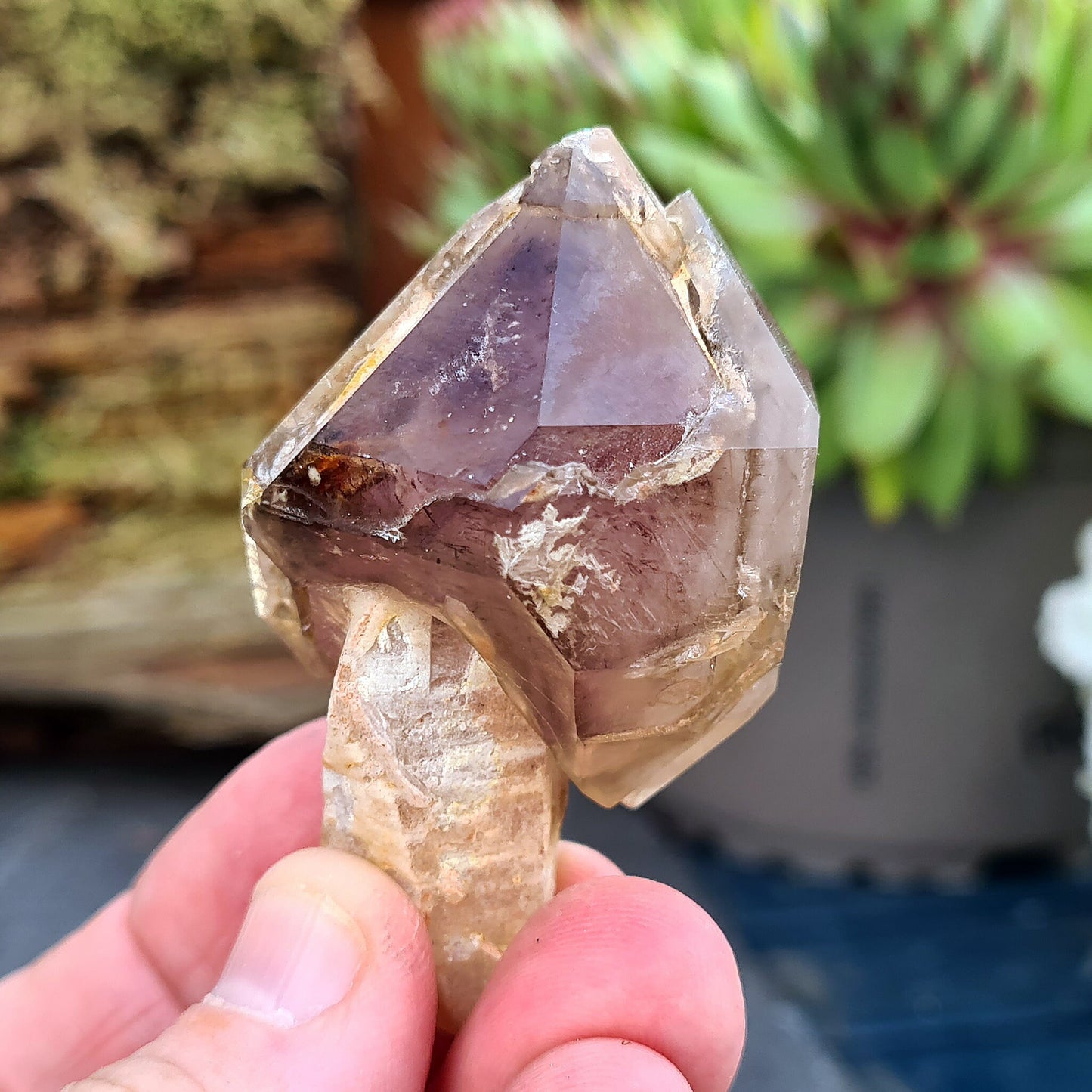 Smoky Amethyst Sceptre. This sceptre has a top growth of Smoky Amethyst that has naturally formed around a central Quartz "rod.