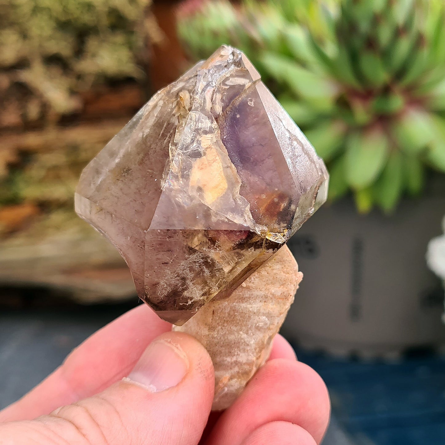 Smoky Amethyst Sceptre. This sceptre has a top growth of Smoky Amethyst that has naturally formed around a central Quartz "rod.