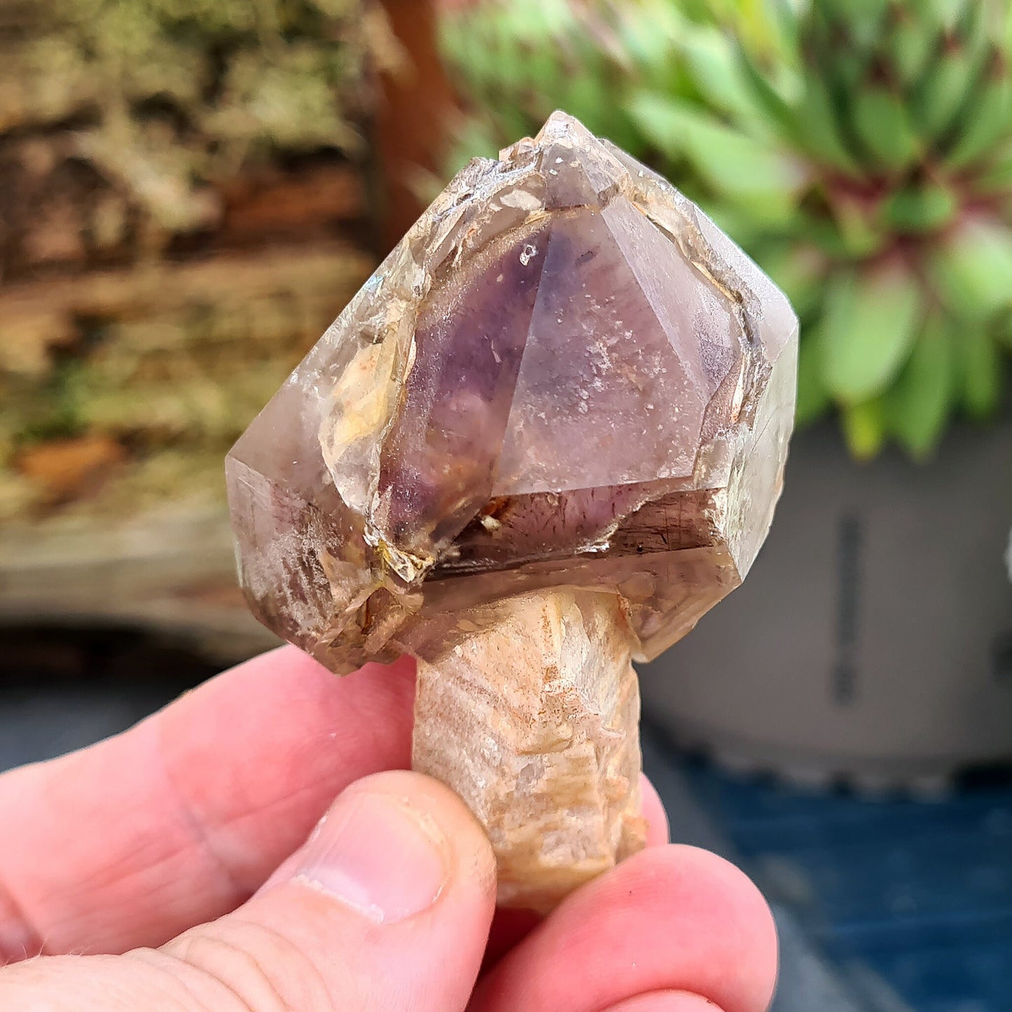 Smoky Amethyst Sceptre. This sceptre has a top growth of Smoky Amethyst that has naturally formed around a central Quartz "rod.