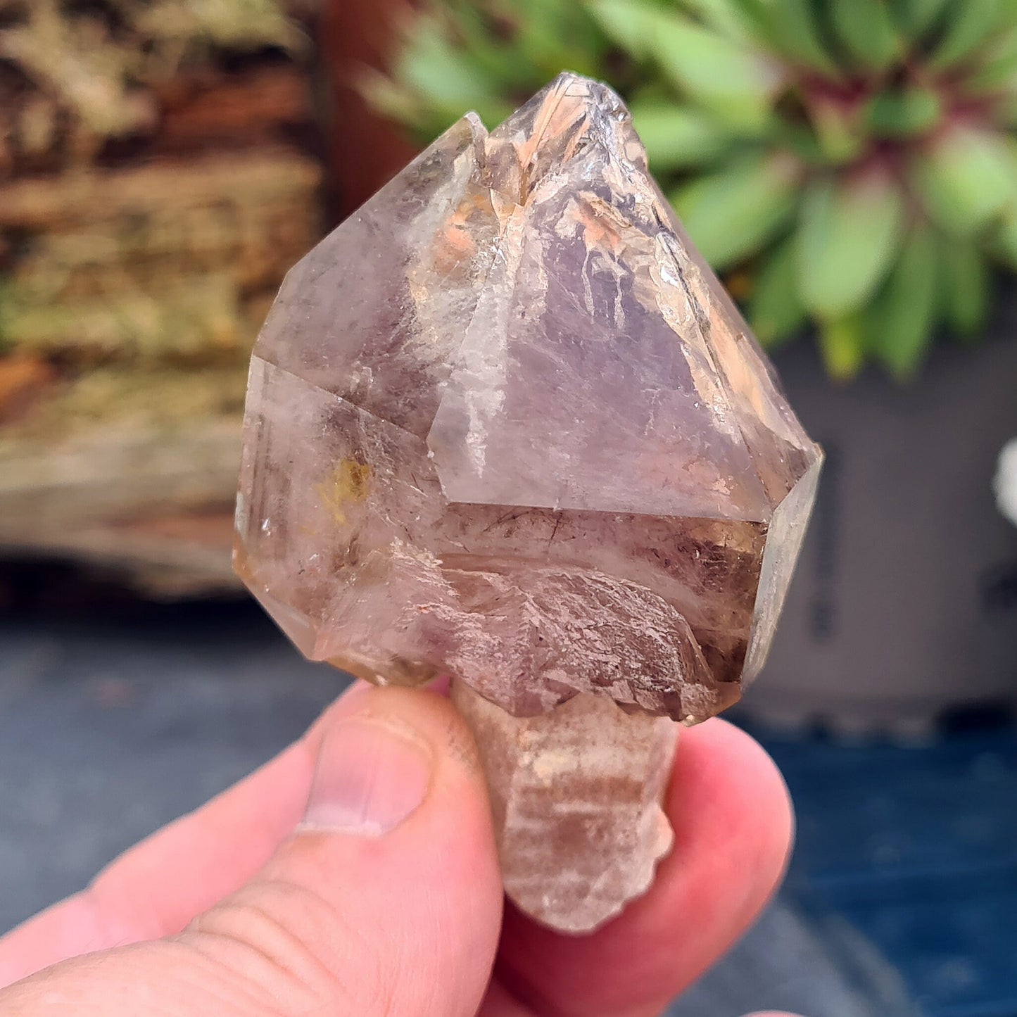 Smoky Amethyst Sceptre. This sceptre has a top growth of Smoky Amethyst that has naturally formed around a central Quartz "rod.