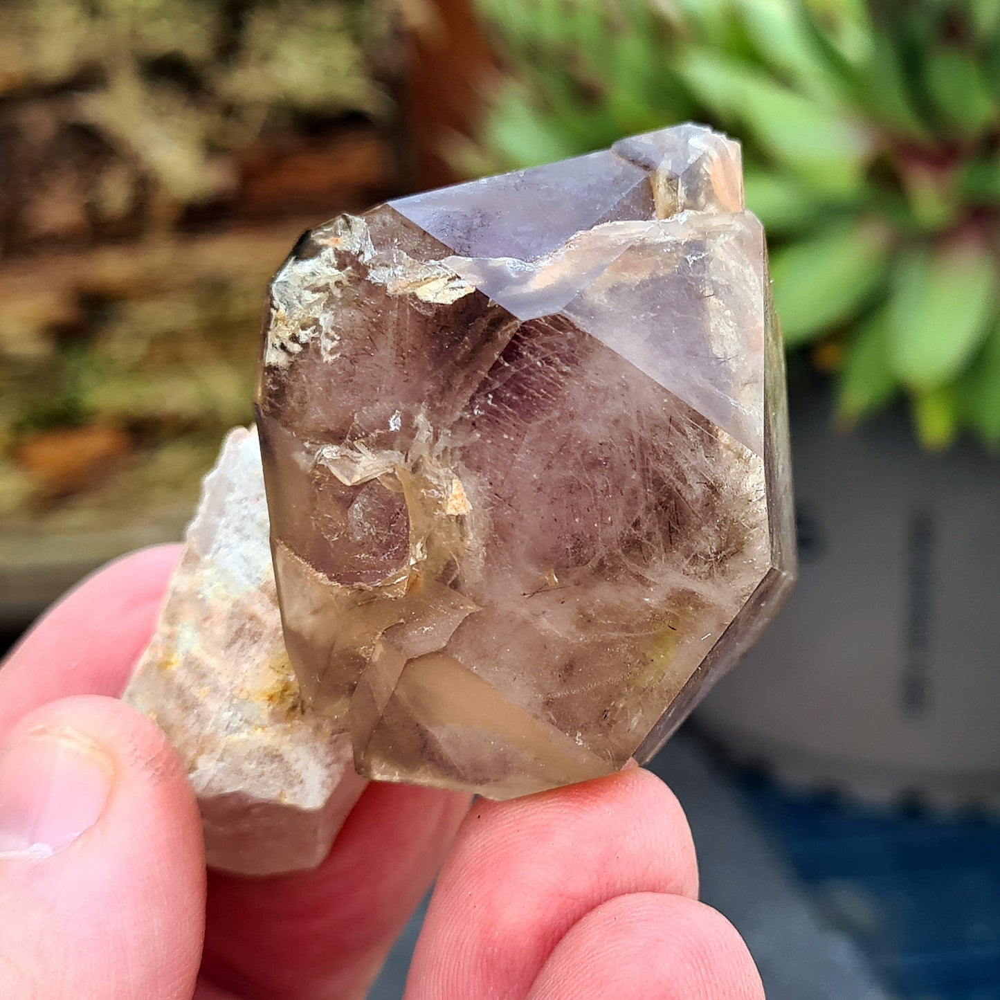 Smoky Amethyst Sceptre. This sceptre has a top growth of Smoky Amethyst that has naturally formed around a central Quartz "rod.