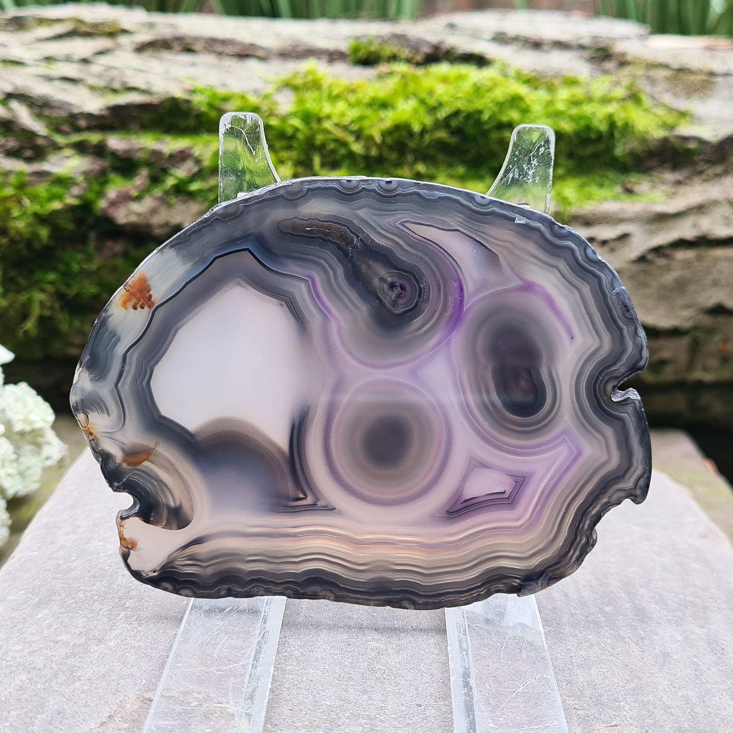 Agate Crystal Slice. This beautiful Agate Slice from Brazil showcases stunning natural patterns and rich color.