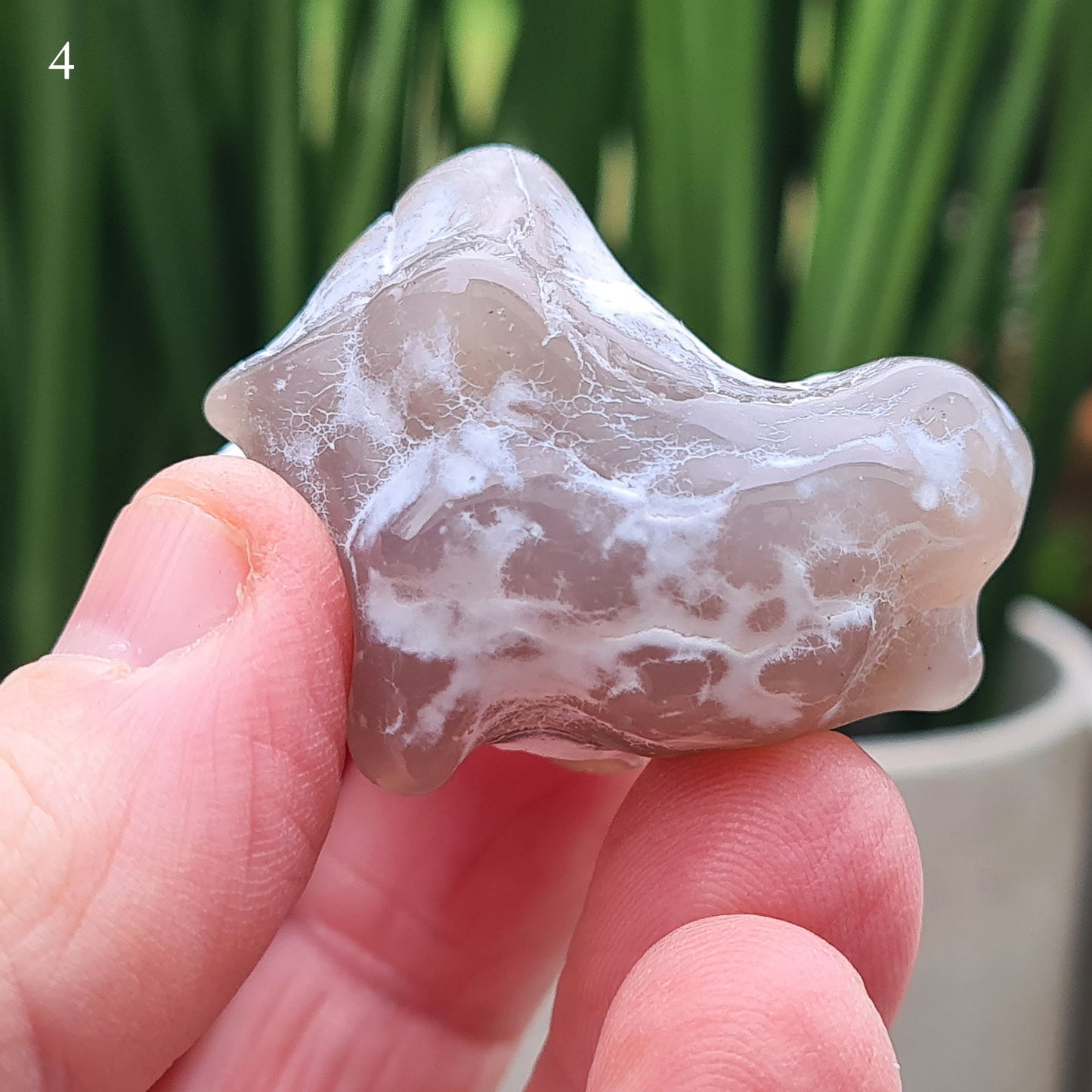 Snakeskin Agate Crystal from Oregon, USA, is a rare, semi-translucent stone with unique markings resembling snake skin.