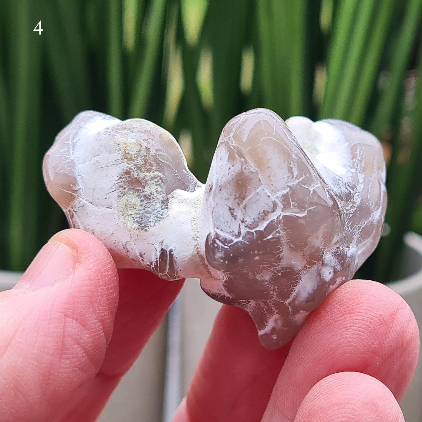 Snakeskin Agate Crystal from Oregon, USA, is a rare, semi-translucent stone with unique markings resembling snake skin.