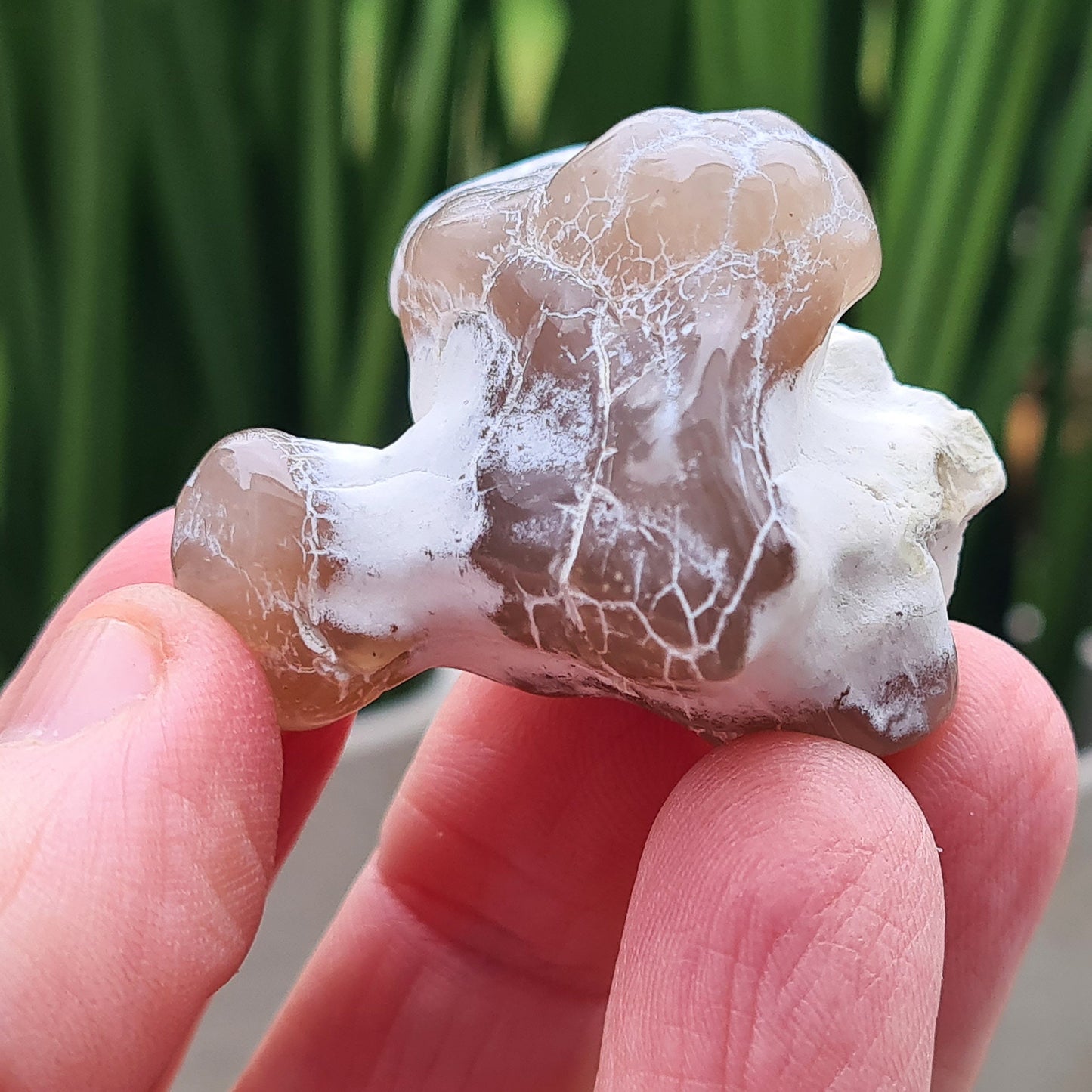 Snakeskin Agate Crystal, Rare | Creativity, self-esteem, self-love, joy & emotional balance