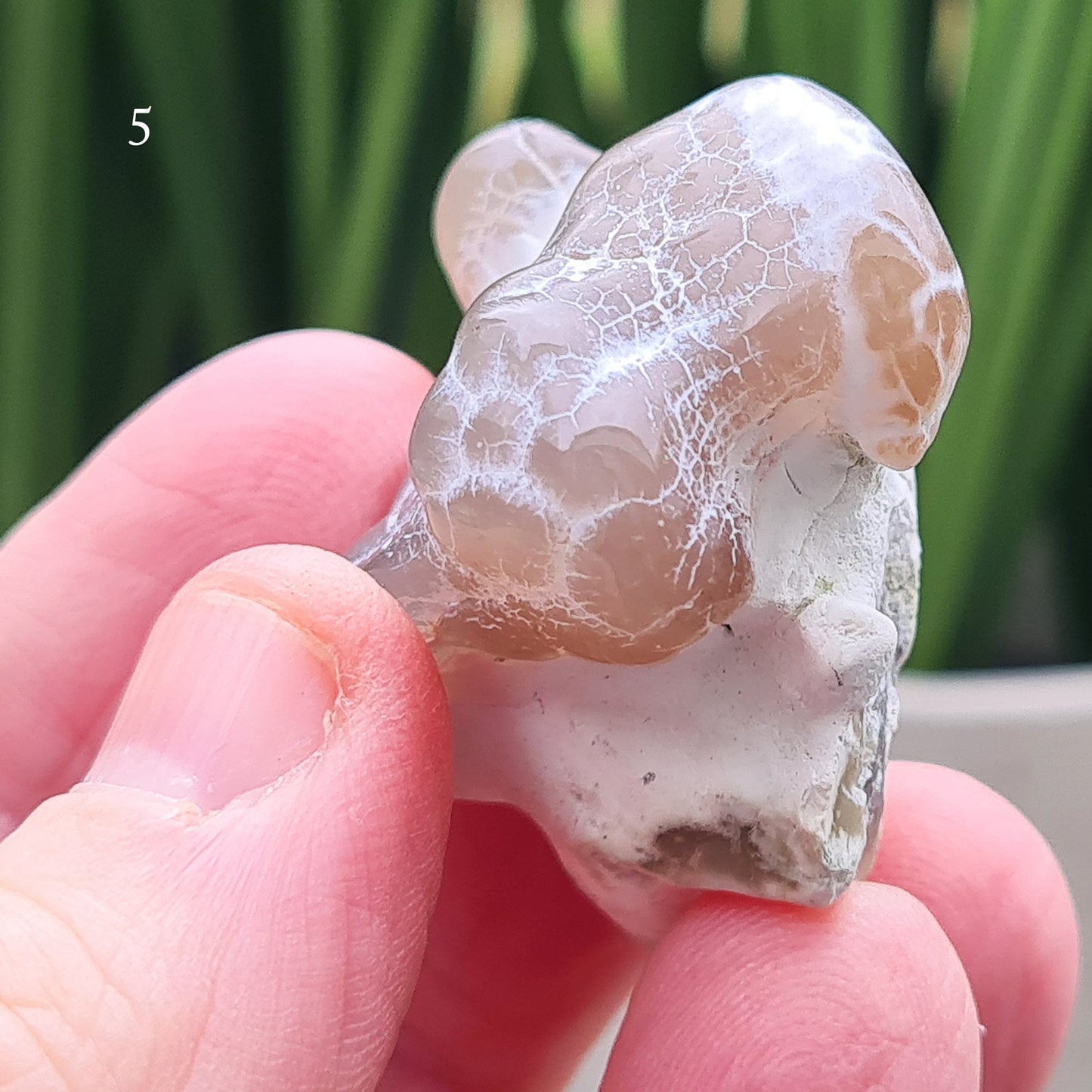 Snakeskin Agate Crystal from Oregon, USA, is a rare, semi-translucent stone with unique markings resembling snake skin.