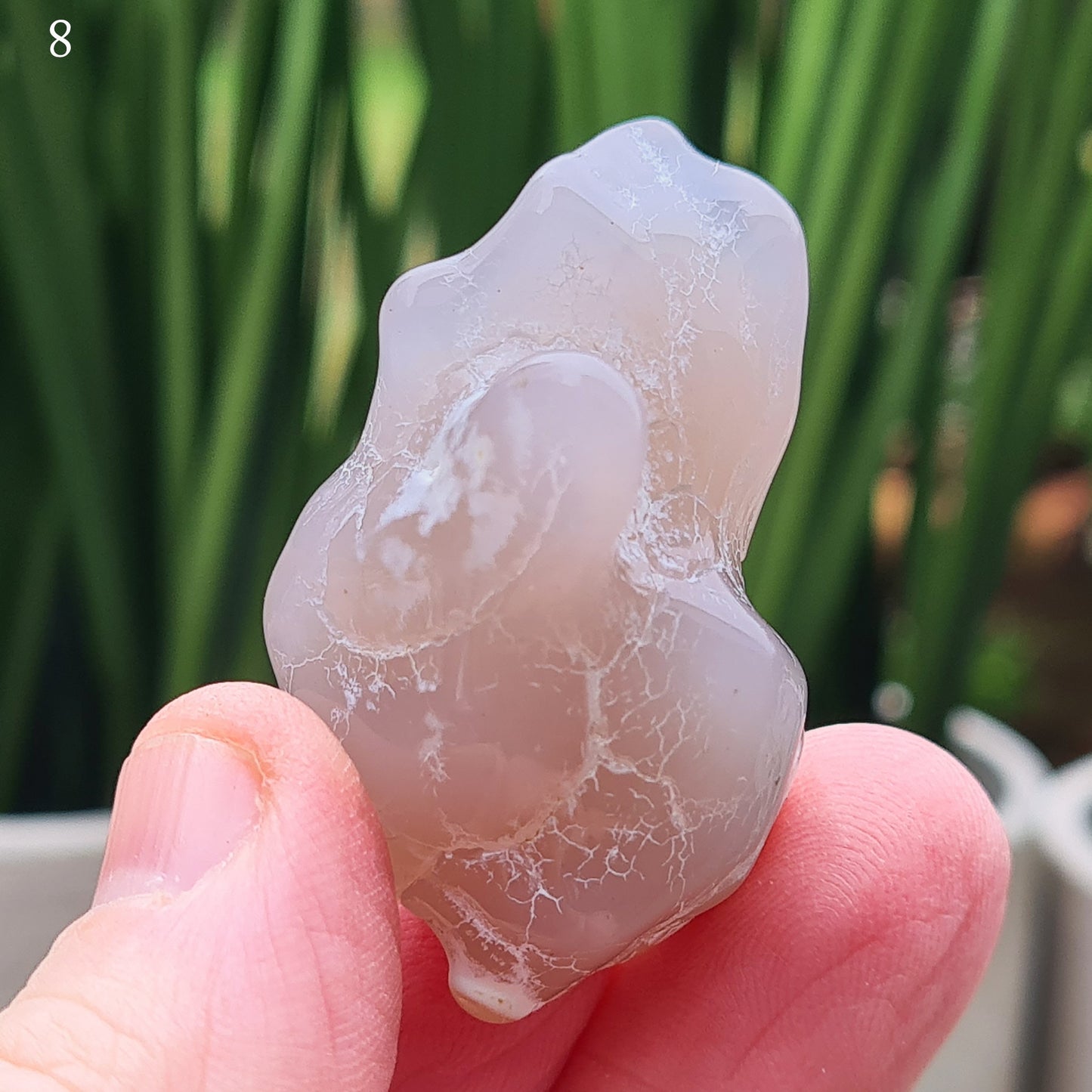 Snakeskin Agate Crystal from Oregon, USA, is a rare, semi-translucent stone with unique markings resembling snake skin.