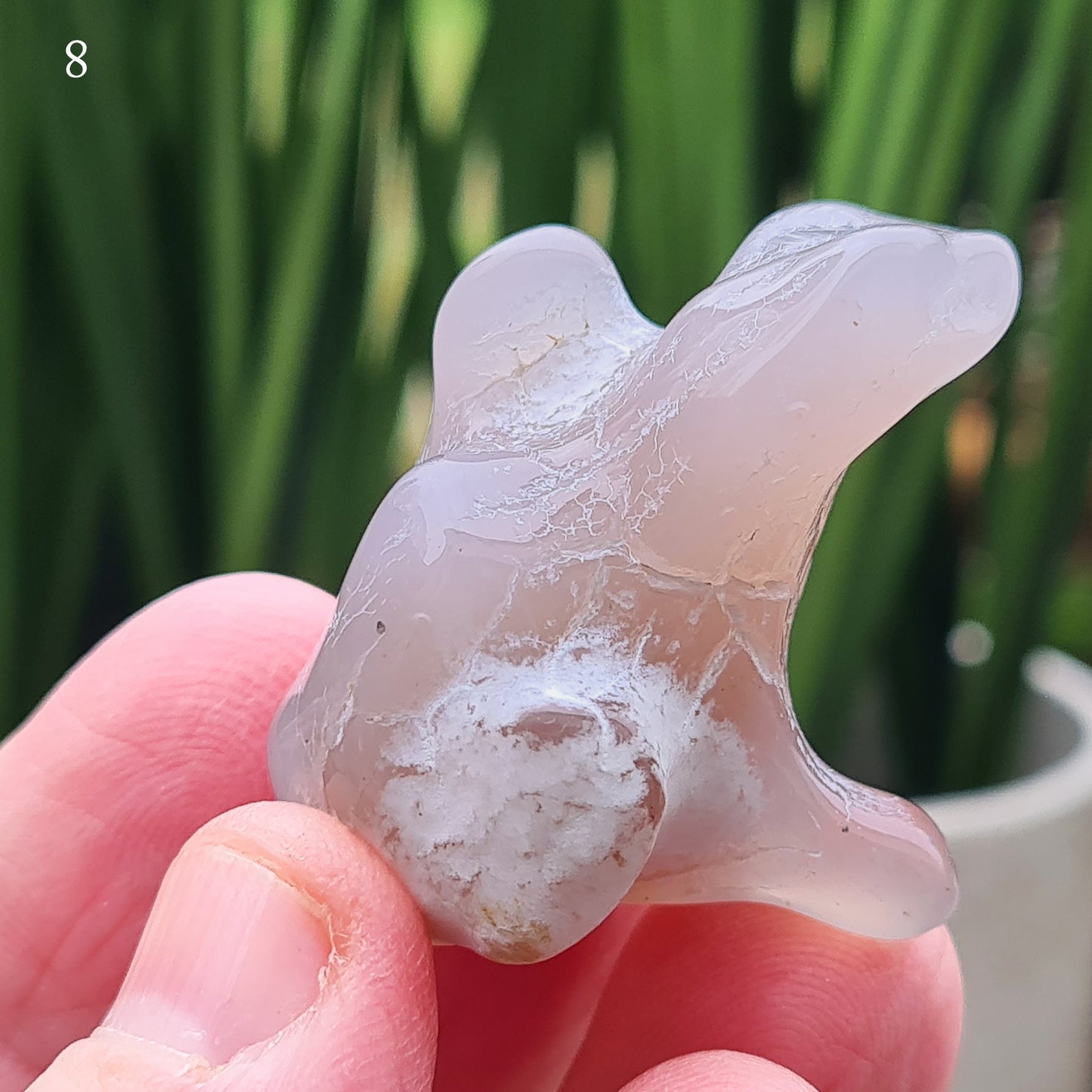 Snakeskin Agate Crystal from Oregon, USA, is a rare, semi-translucent stone with unique markings resembling snake skin.