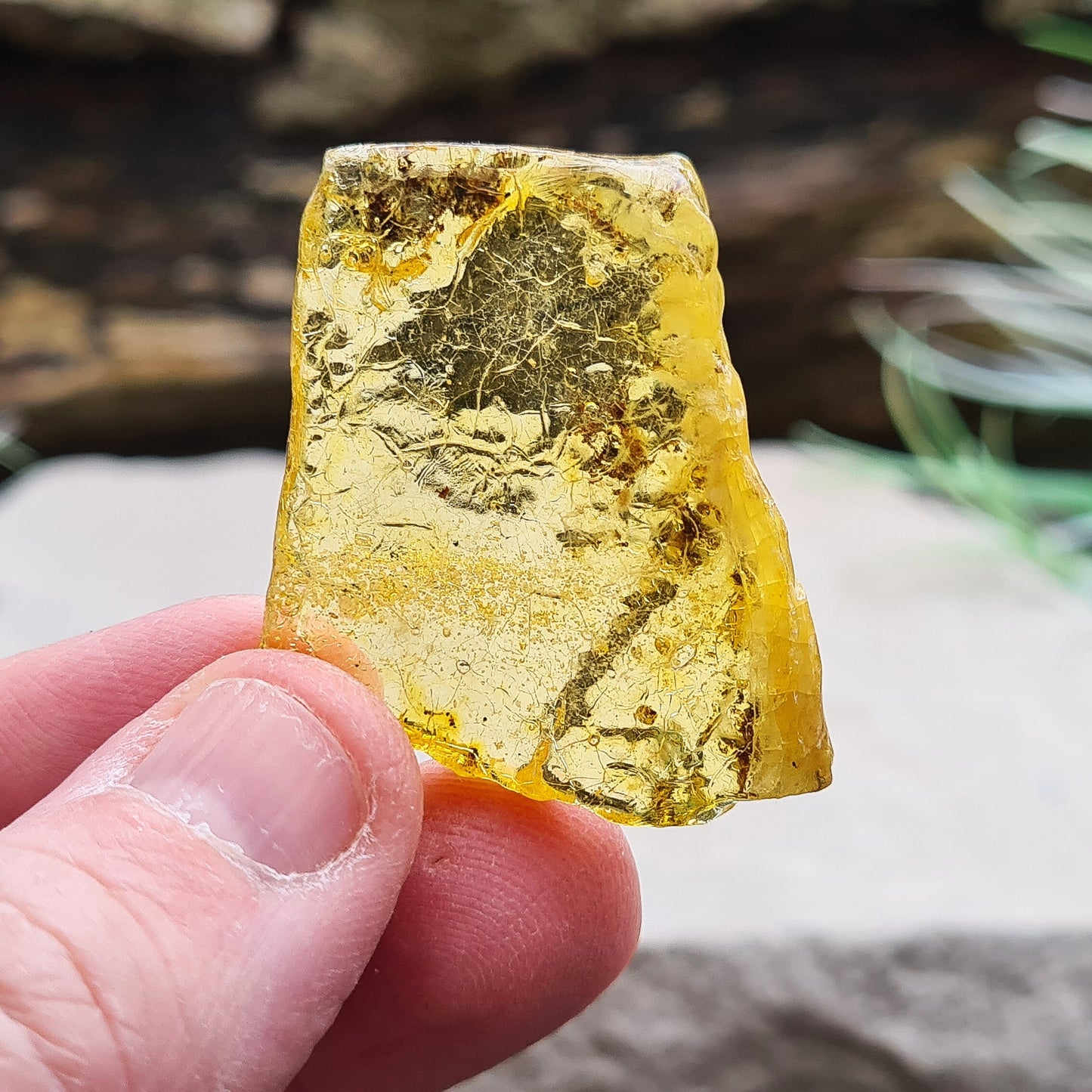 Colombian Copal Amber. This stunning Colombian Copal Amber is younger geologically than Baltic Amber, giving it a unique, vibrant energy and beautiful, sun-filled appearance.
