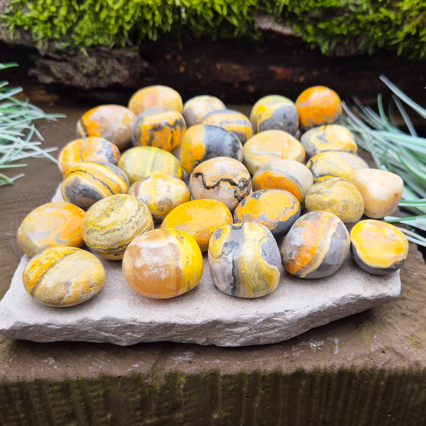 Yellow Calcite with Pyrite & Hematite Inclusions – “Bumblebee Stone” Tumbles. These striking tumble stones are a unique blend of yellow calcite, pyrite, and hematite, sourced from the volcanic regions of Indonesia. Often nicknamed Bumblebee Jasper