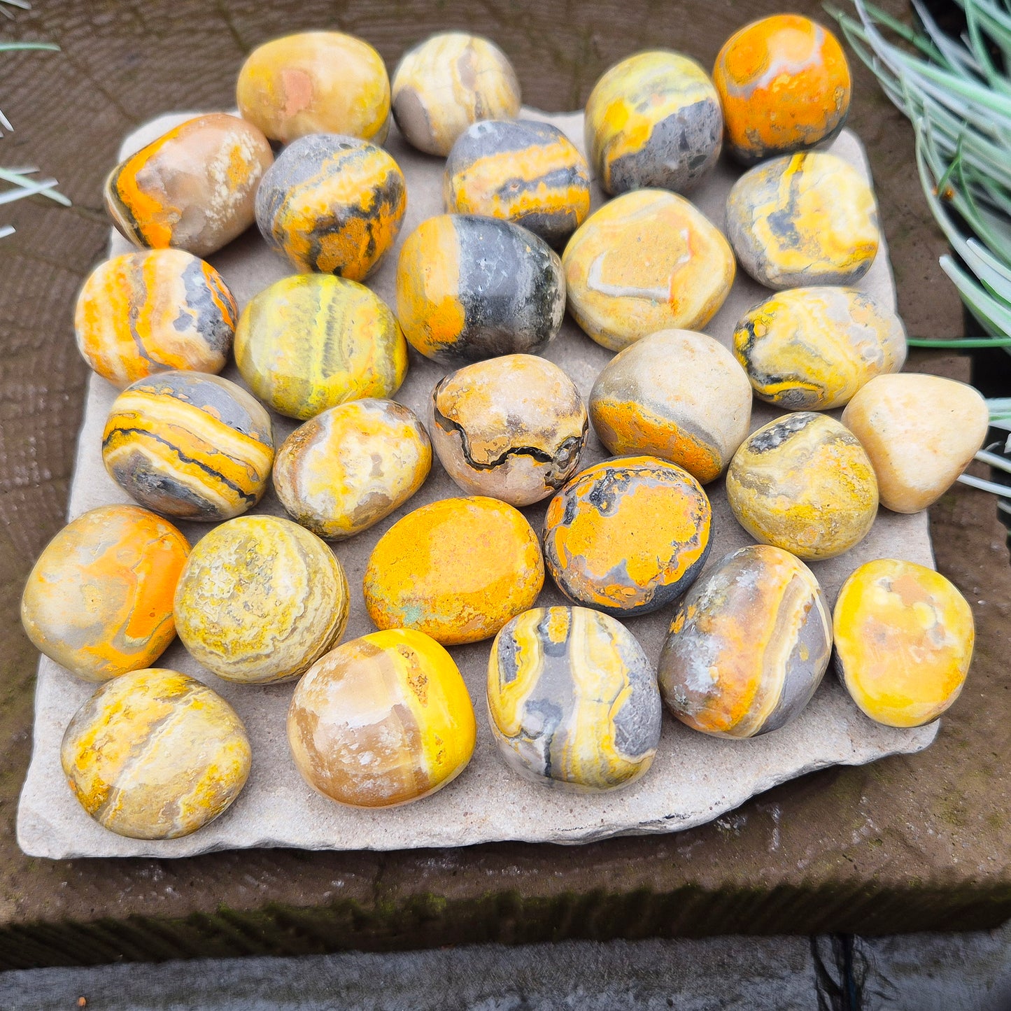 Yellow Calcite with Pyrite & Hematite Inclusions – “Bumblebee Stone” Tumbles. These striking tumble stones are a unique blend of yellow calcite, pyrite, and hematite, sourced from the volcanic regions of Indonesia. Often nicknamed Bumblebee Jasper
