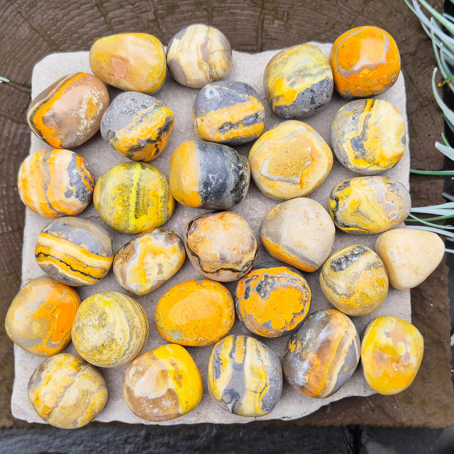 Yellow Calcite with Pyrite & Hematite Inclusions – “Bumblebee Stone” Tumbles. These striking tumble stones are a unique blend of yellow calcite, pyrite, and hematite, sourced from the volcanic regions of Indonesia. Often nicknamed Bumblebee Jasper