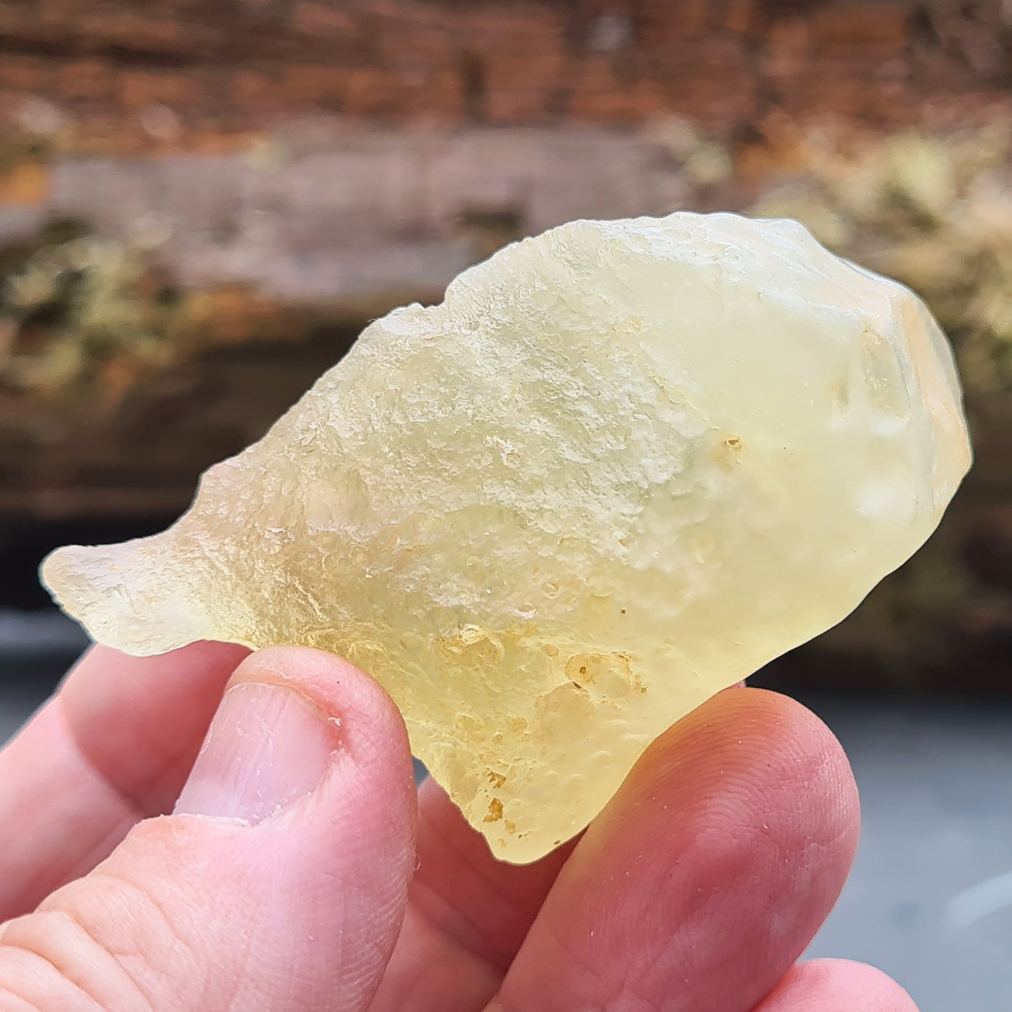 Authentic Libyan Gold Tektite (Desert Glass) AAA grade. Rare meteorite impact glass from Sahara, ideal for collectors and crystal displays.