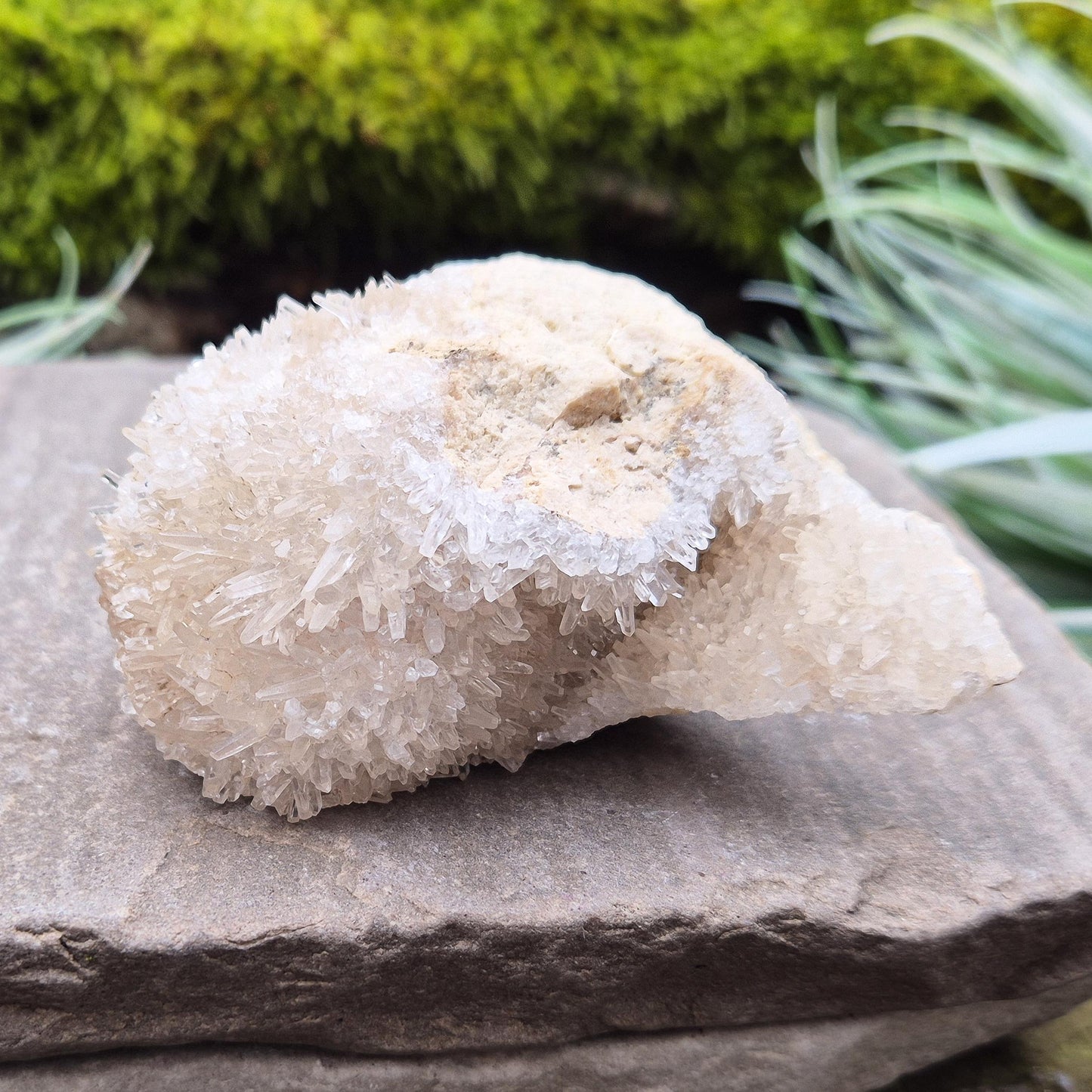 Quartz Crystal Cluster, Natural Needle-like Points