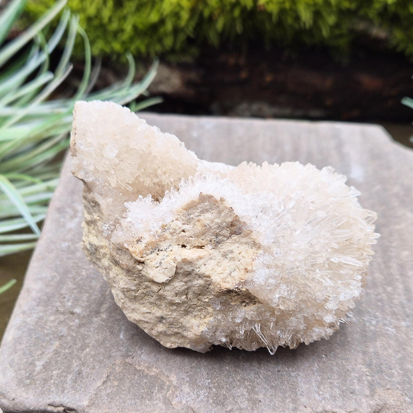 Quartz Crystal Cluster, Natural Needle-like Points
