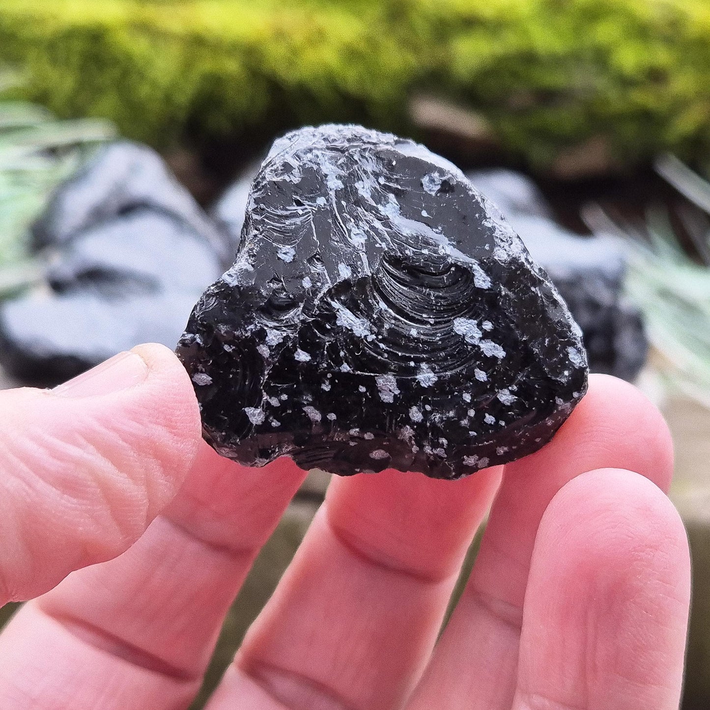 Snowflake Obsidian Pieces (2), Natural | Ideal for Clarity & Grounding