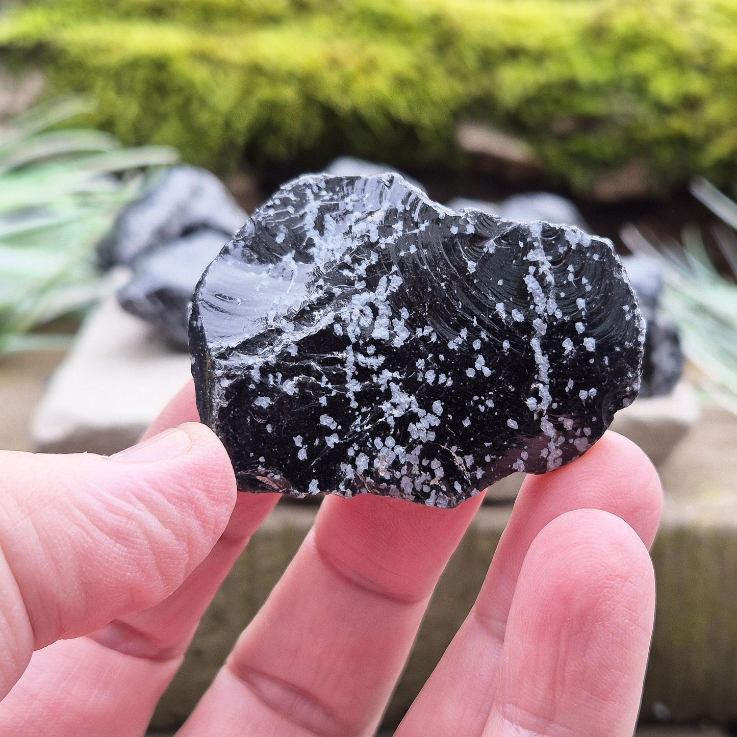 Snowflake Obsidian Pieces (2), Natural | Aids in Letting Go of Negativity