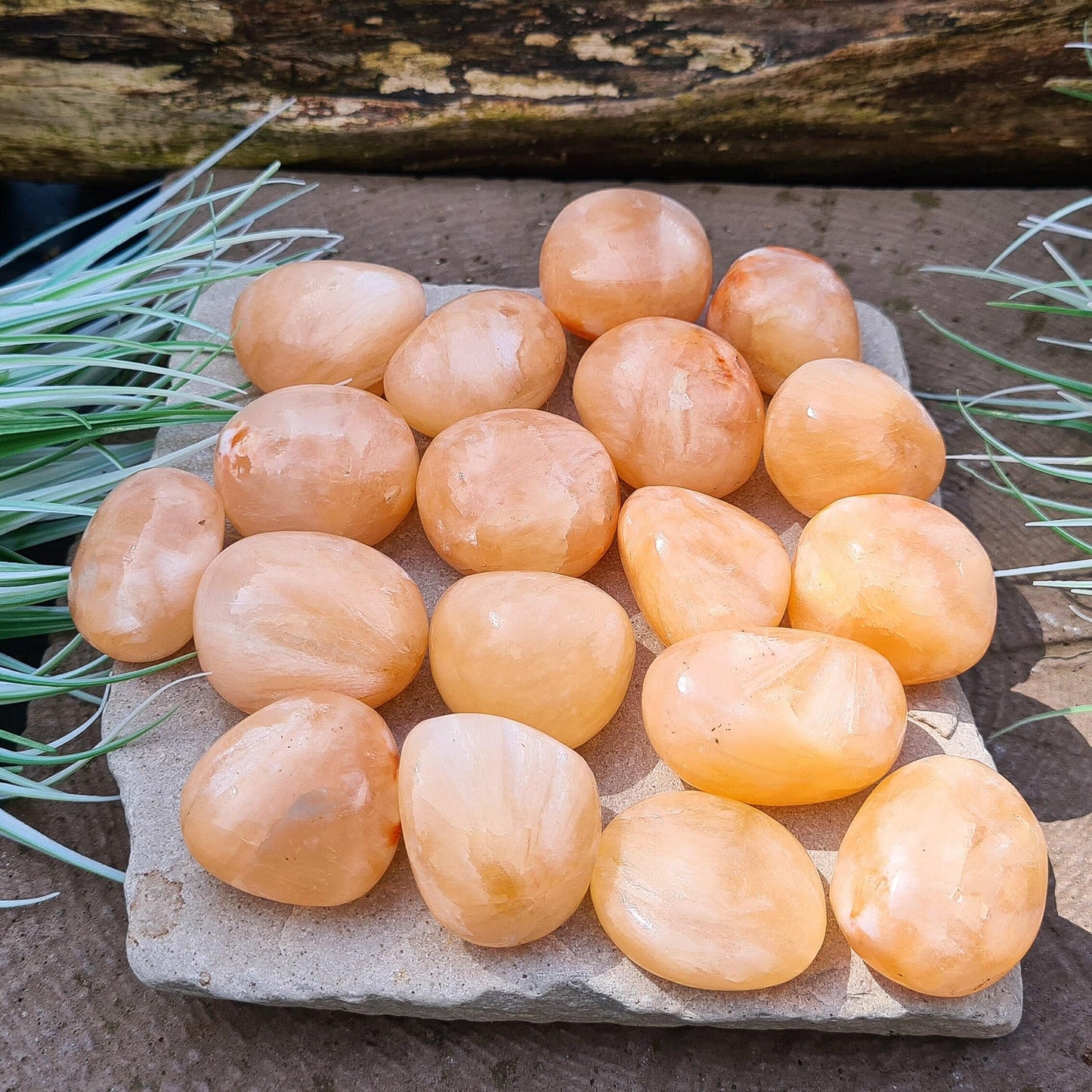 Stilbite Tumble Stone, AA Grade from India features a beautiful opalescent peach color. This crystal is prized for its gentle, loving energy that supports intuition, creativity, and spiritual growth.