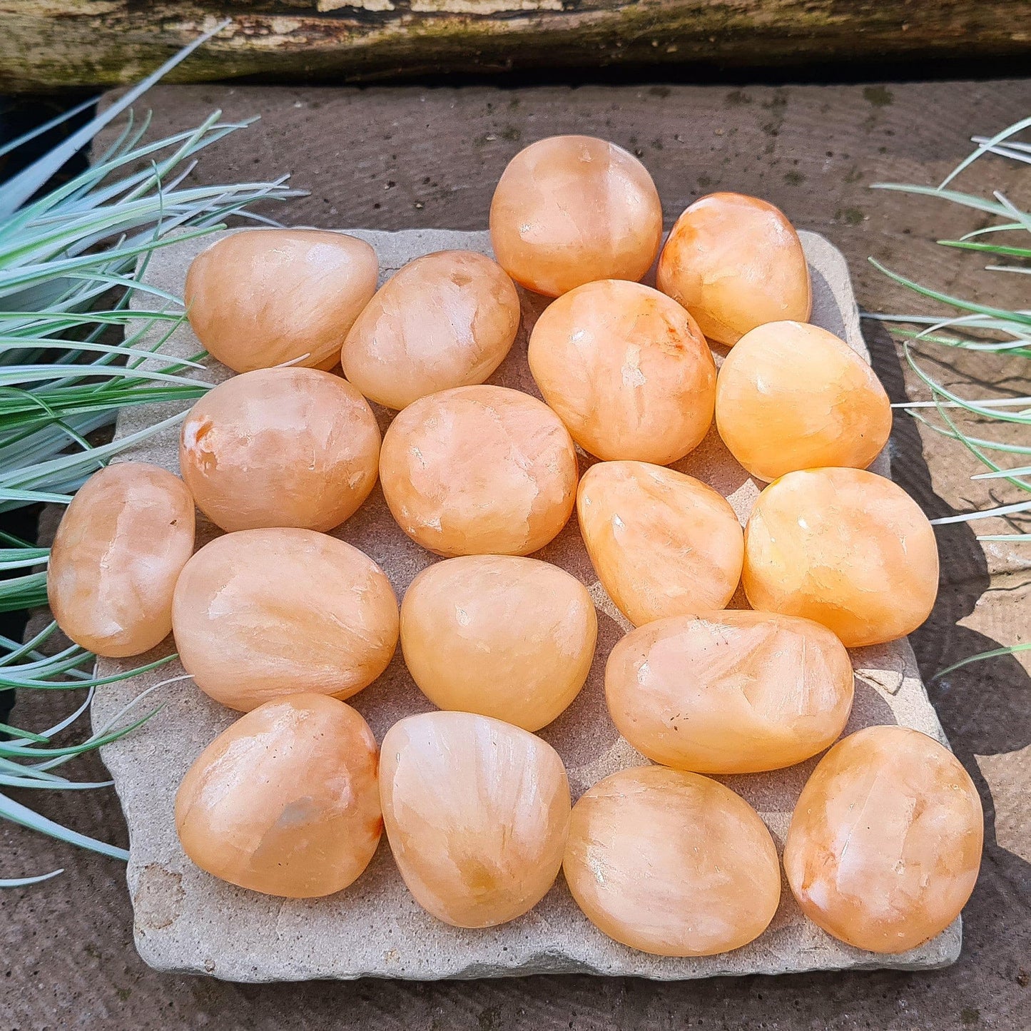 Stilbite Tumble Stone, AA Grade from India features a beautiful opalescent peach color. This crystal is prized for its gentle, loving energy that supports intuition, creativity, and spiritual growth.