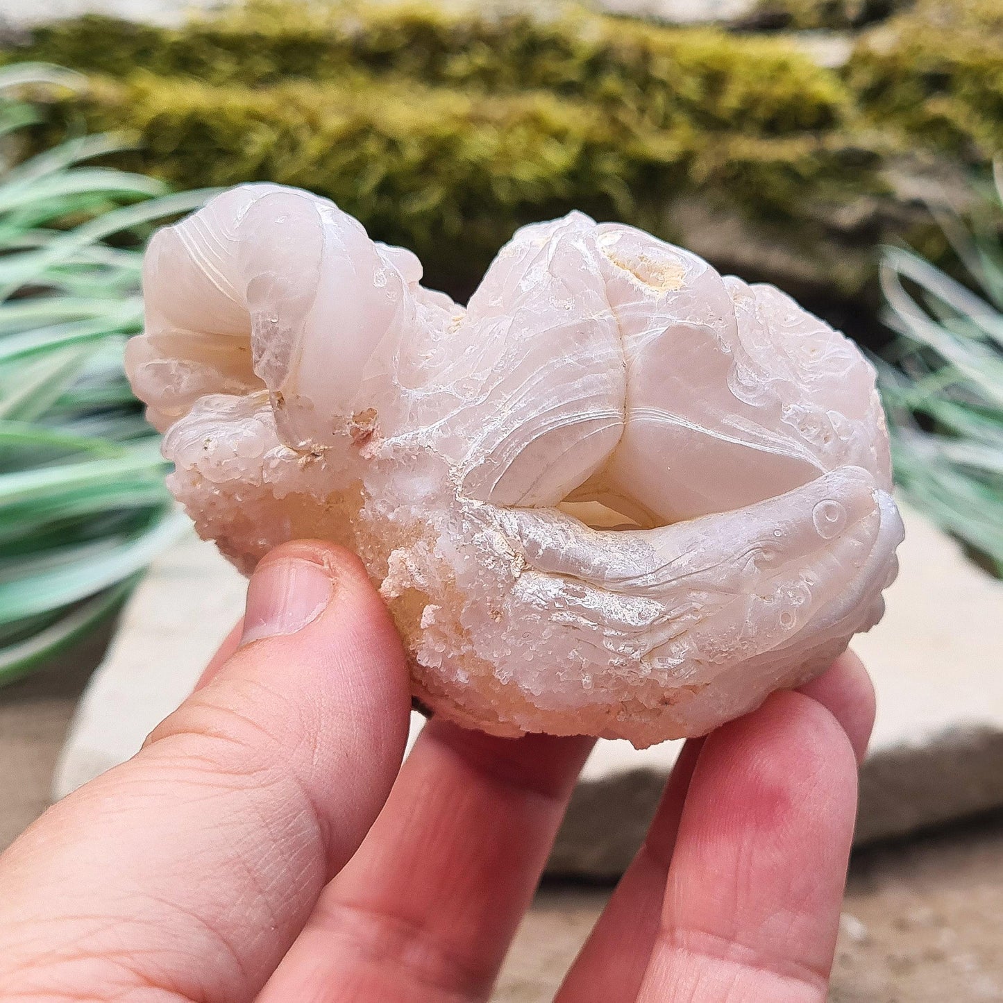 Chalcedony, natural crystal from Sonara in Mexico. Great quality crystal specimen.