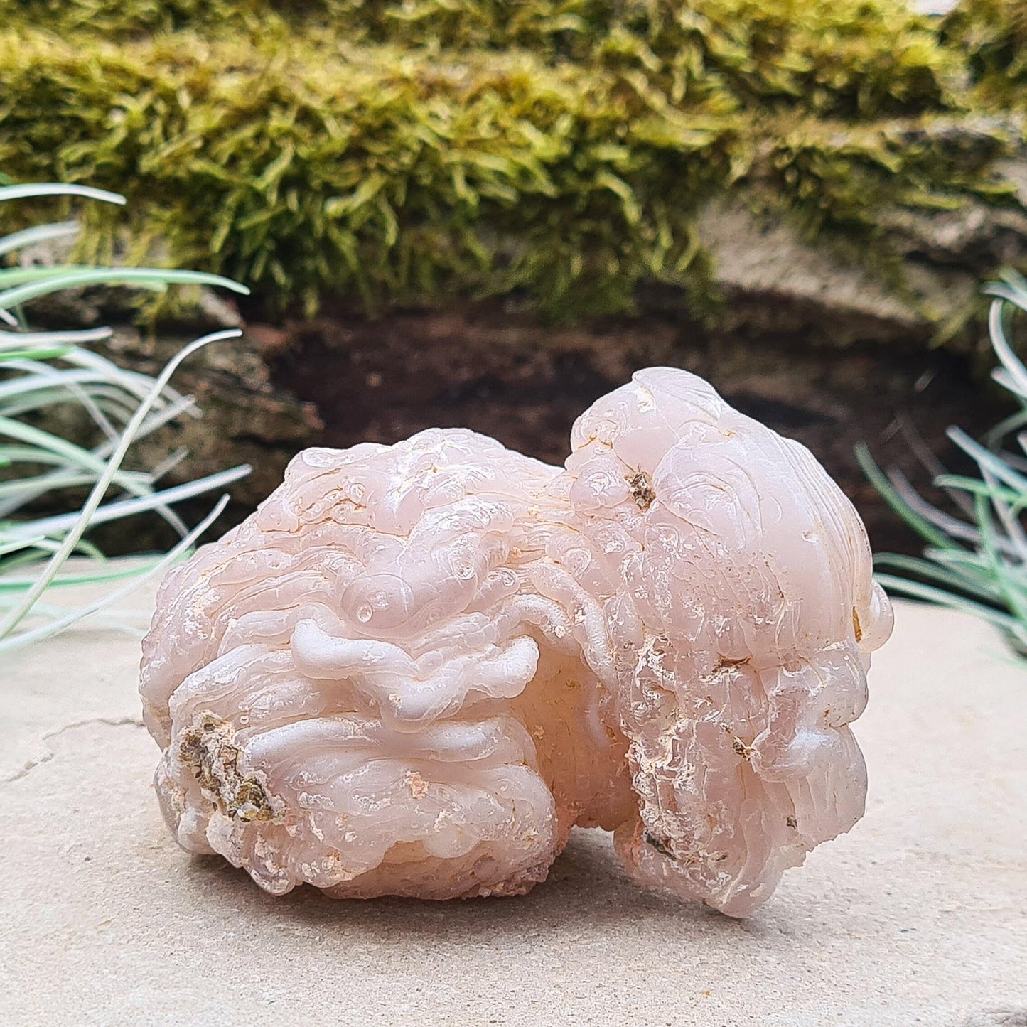 Chalcedony Crystal from Sonora, Mexico, High-Quality Specimen for Emotional Balance & Grounding