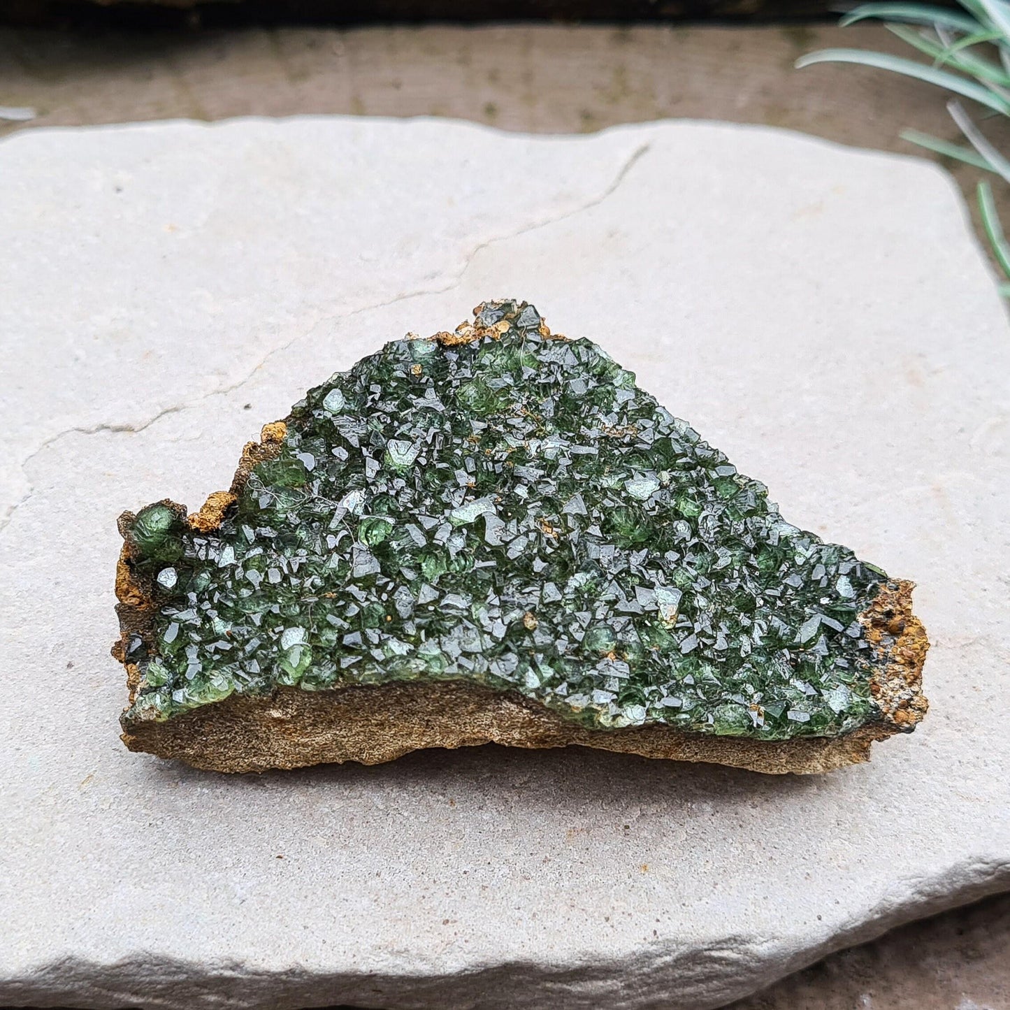 Ludlamite Crystal Cluster, Natural & Rare | Spiritual Home Decor Display Crystal | Collectors Specimen