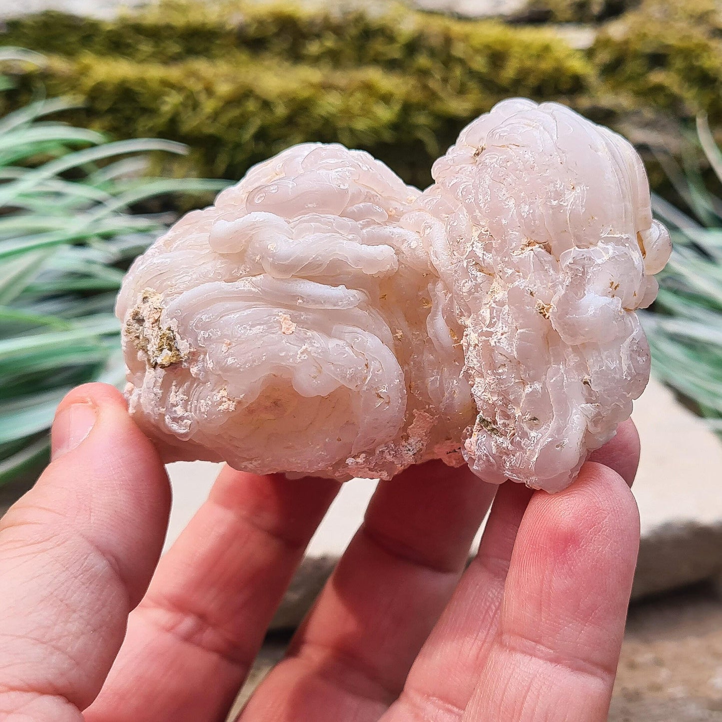 Chalcedony Crystal from Sonora, Mexico, High-Quality Specimen for Emotional Balance & Grounding