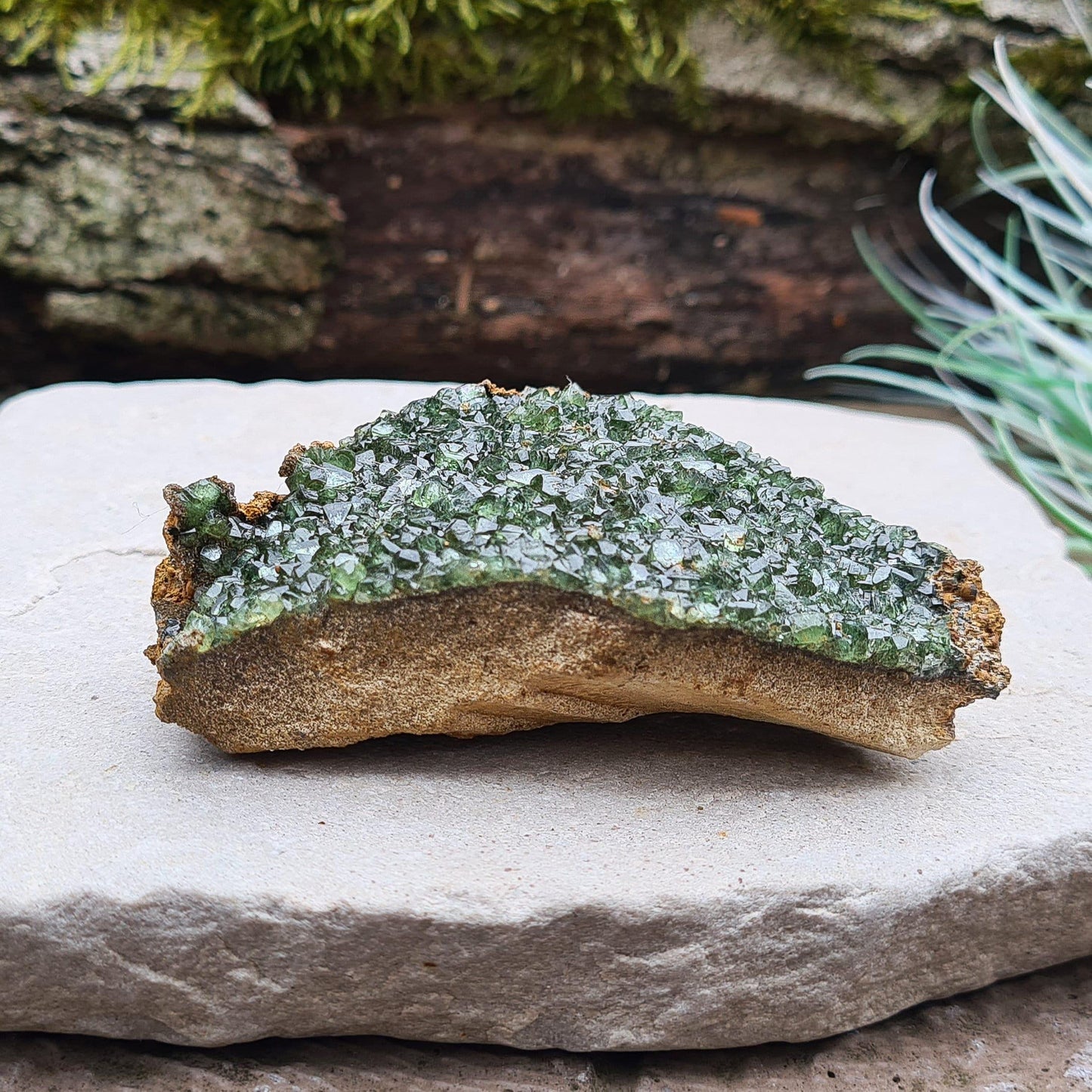 Ludlamite Crystal Cluster, Natural & Rare | Spiritual Home Decor Display Crystal | Collectors Specimen