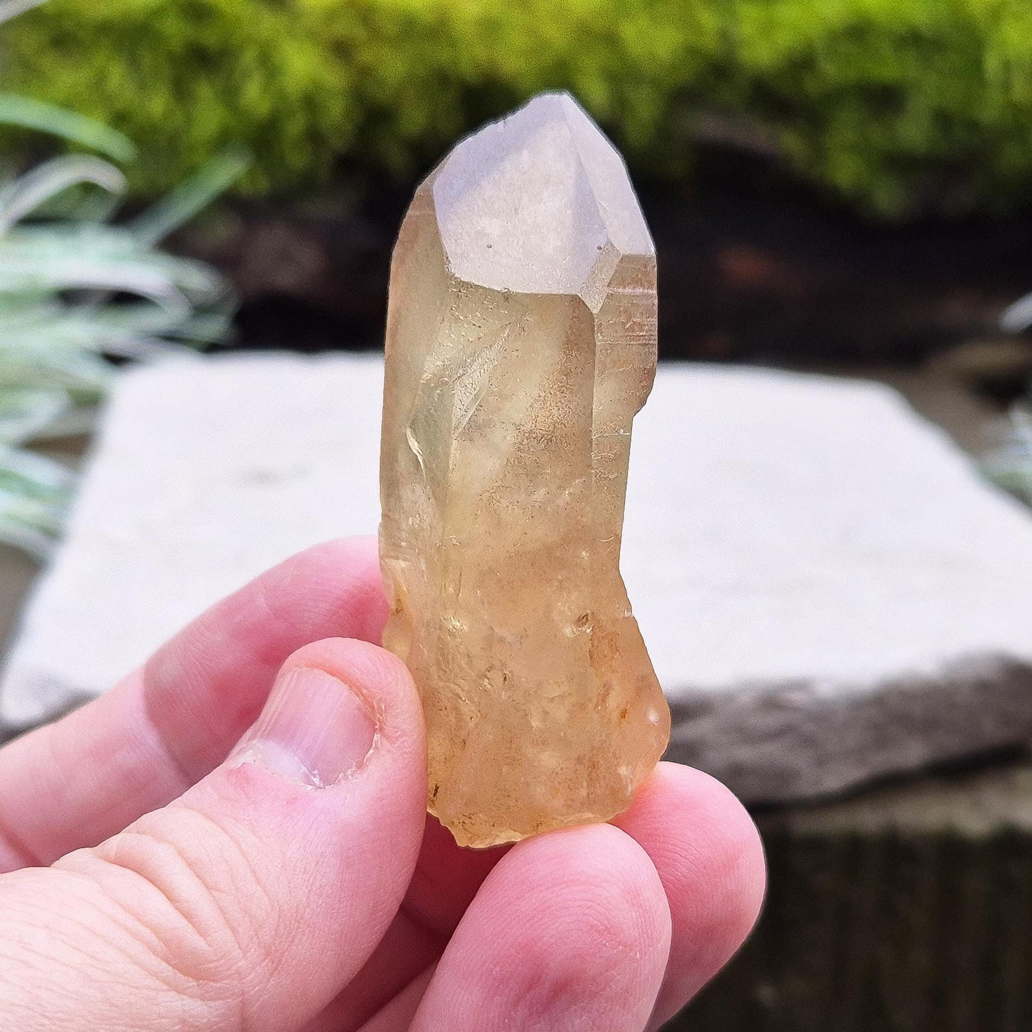 Natural Untreated Citrine Crystal Point from Northern Zambia, has a nice light honey colour. Raw and unpolished, this crystal point offers an authentic, natural touch to any collection. Great for personal use in meditation or energy work.