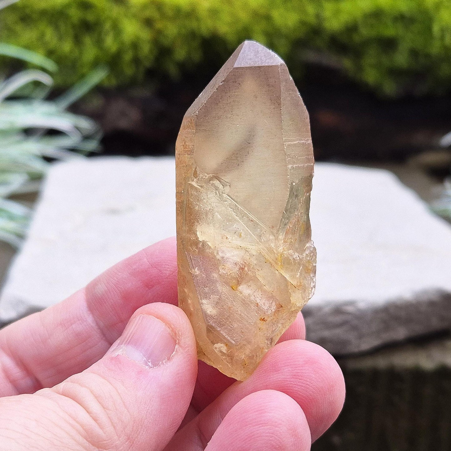 Natural Untreated Citrine Crystal Point from Northern Zambia, has a nice light honey colour. Raw and unpolished, this crystal point offers an authentic, natural touch to any collection. Great for personal use in meditation or energy work.