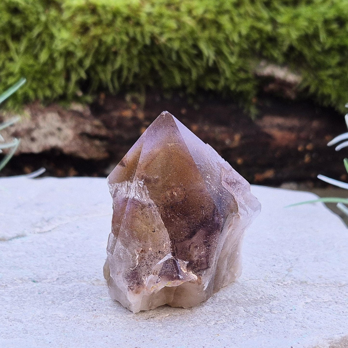 Ametrine Crystal standing point, from the Sichuan Province, China. Color really shows through in the natural light. Polished tip, natural body, cut base.