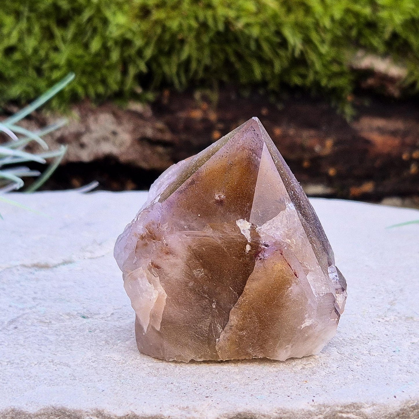 Ametrine Crystal standing point, from the Sichuan Province, China. Color really shows through in the natural light. Polished tip, natural body, cut base.