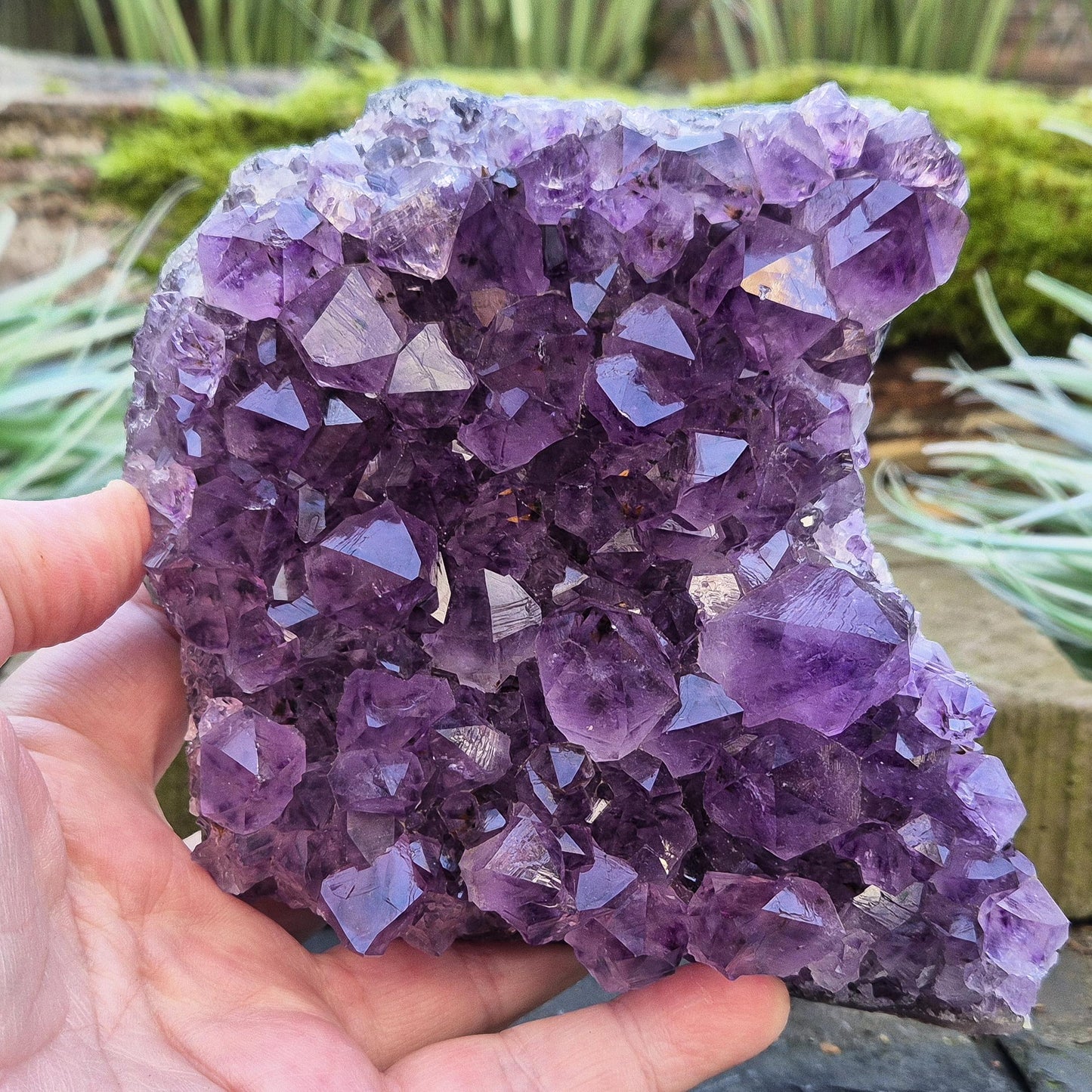 Amethyst Crystal Cluster from Brazil. A grade. The amethyst points on this cluster are a lovely dark purple colour.
Amethyst is loved for its calming presence, bringing peace, clarity, and balance to your space.