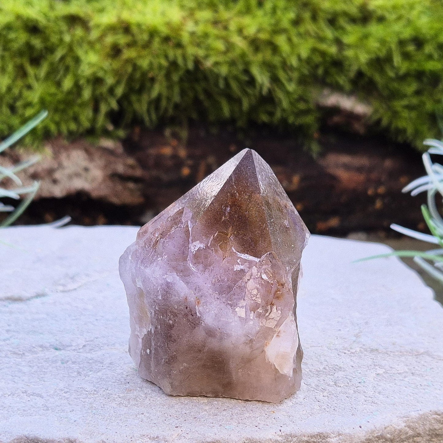Ametrine Crystal standing point, from the Sichuan Province, China. Color really shows through in the natural light. Polished tip, natural body, cut base.