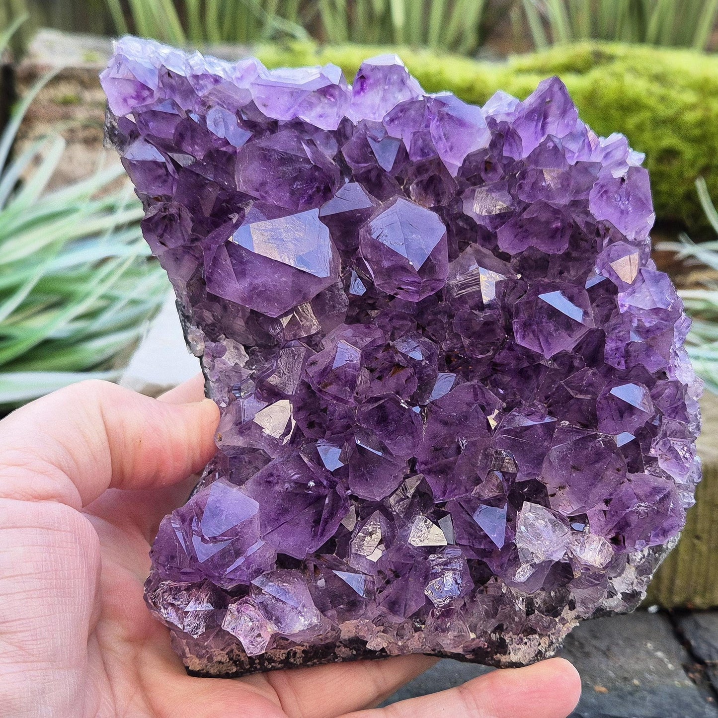 Amethyst Crystal Cluster from Brazil. A grade. The amethyst points on this cluster are a lovely dark purple colour.
Amethyst is loved for its calming presence, bringing peace, clarity, and balance to your space.