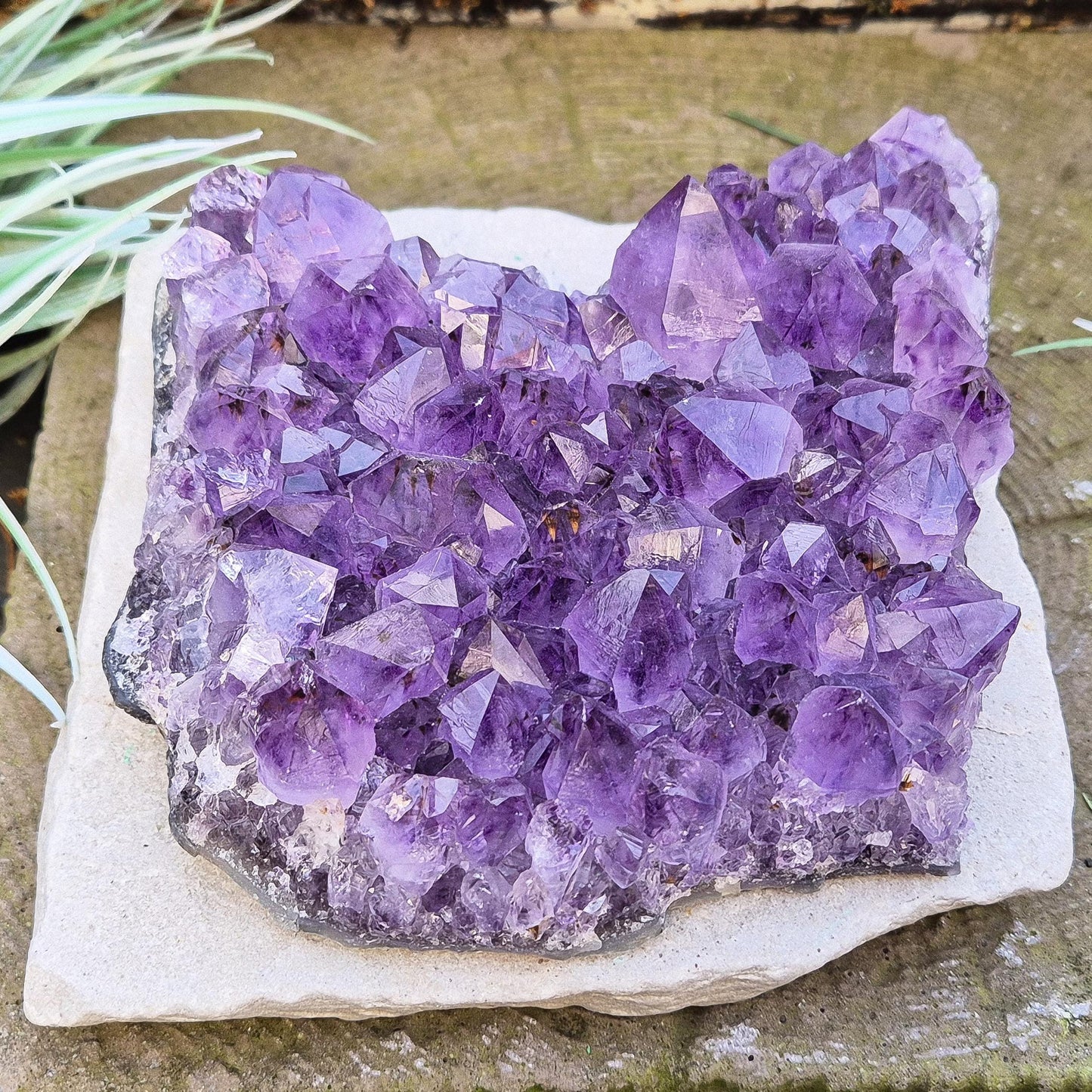 Amethyst Crystal Cluster from Brazil. A grade. The amethyst points on this cluster are a lovely dark purple colour.
Amethyst is loved for its calming presence, bringing peace, clarity, and balance to your space.