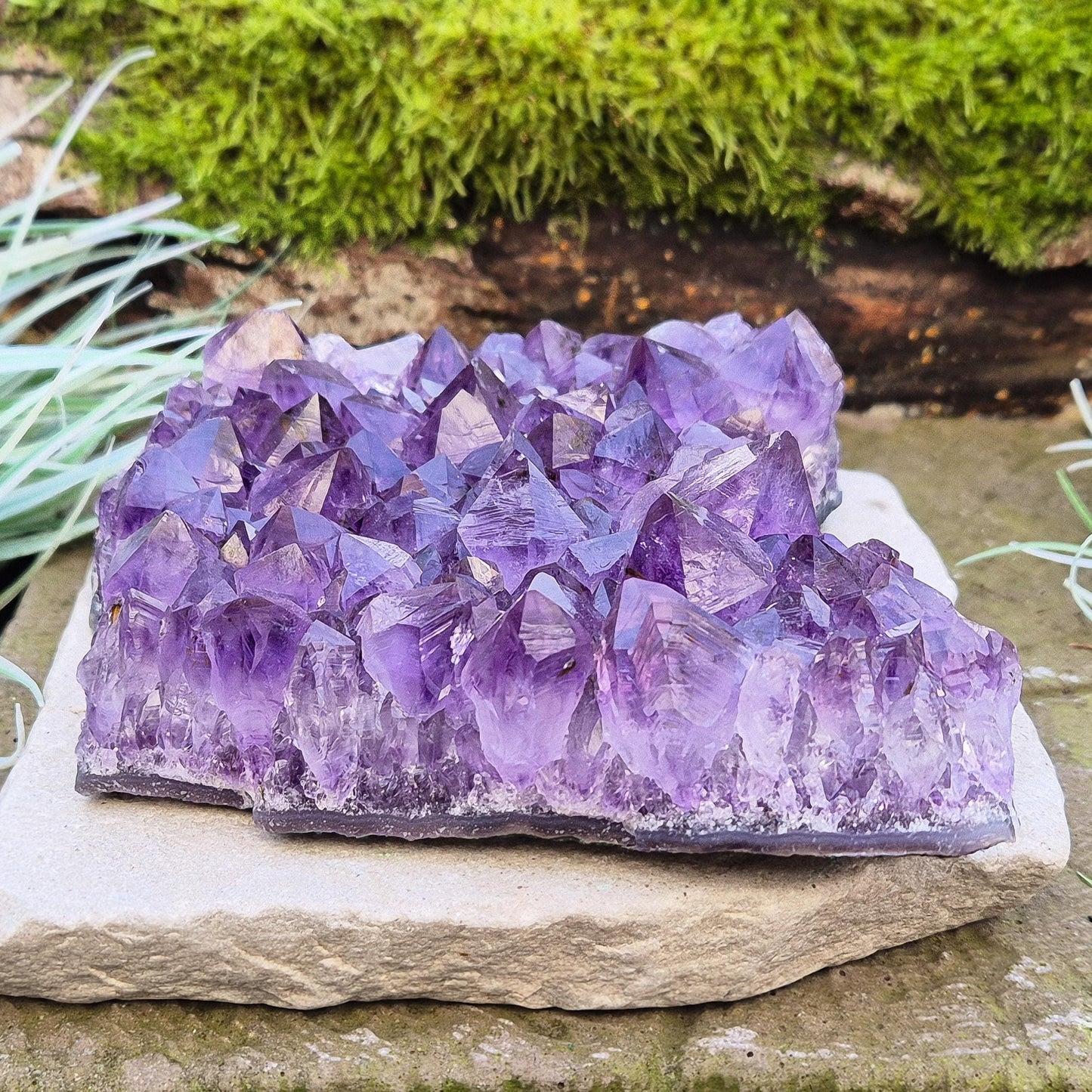 Amethyst Crystal Cluster from Brazil. A grade. The amethyst points on this cluster are a lovely dark purple colour.
Amethyst is loved for its calming presence, bringing peace, clarity, and balance to your space.