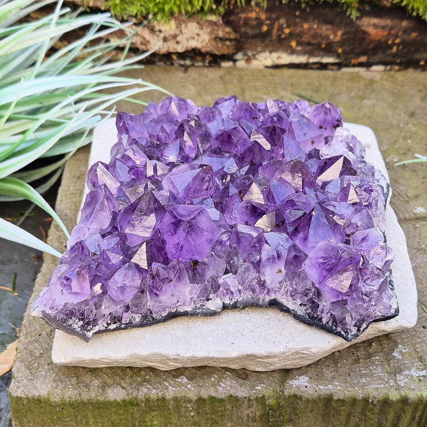Amethyst Crystal Cluster – Natural | Ideal for Home Decor & Gentle Spiritual Support