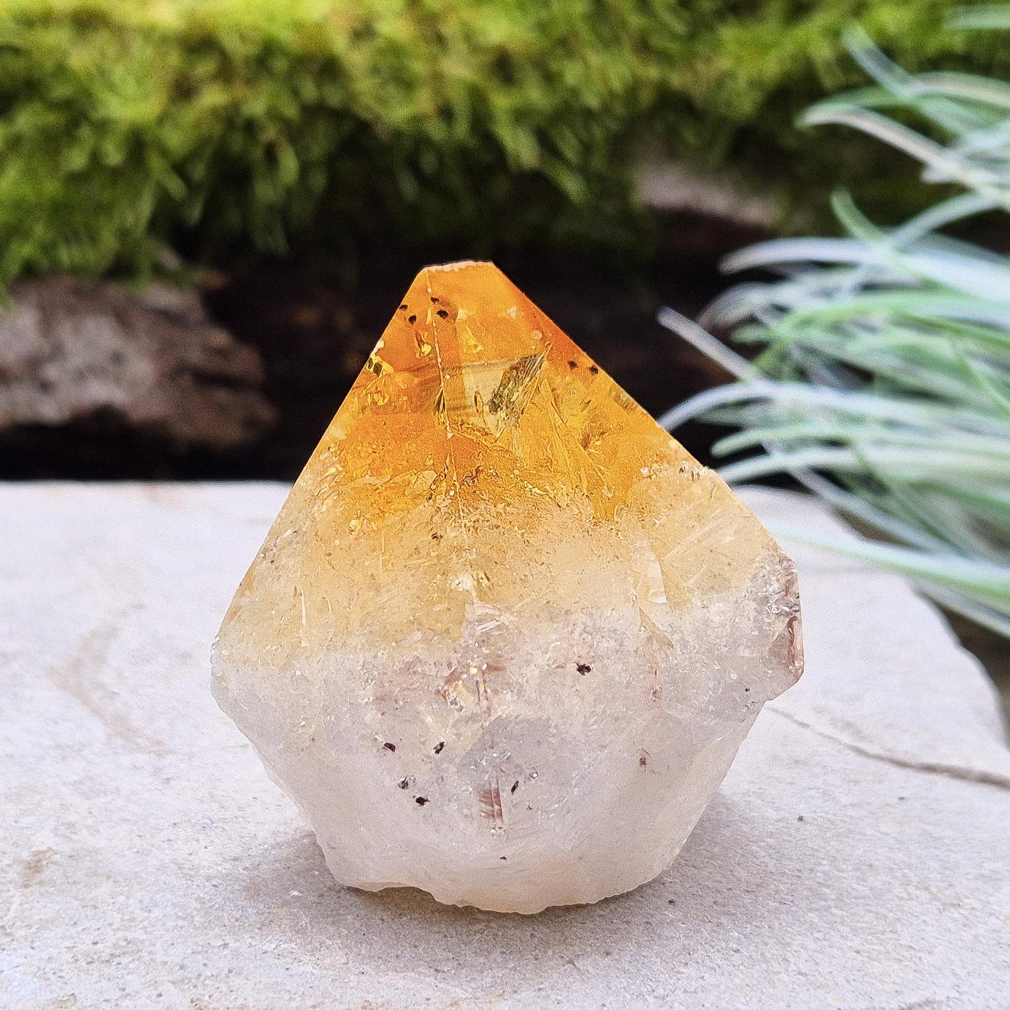 Citrine Crystal Point - Polished Tip | Spiritual Gift | Perfect Display Piece for Home, Office, or Sacred Space