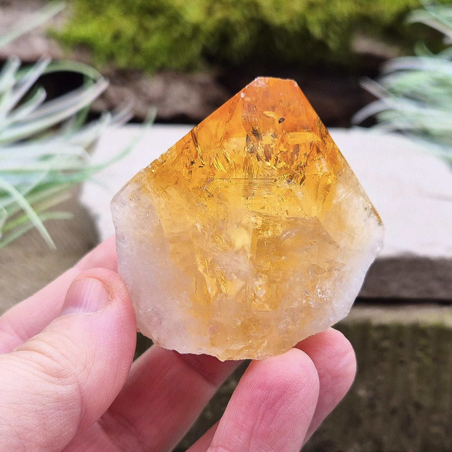 Citrine Crystal Point - Polished Tip | Spiritual Gift | Perfect Display Piece for Home, Office, or Sacred Space