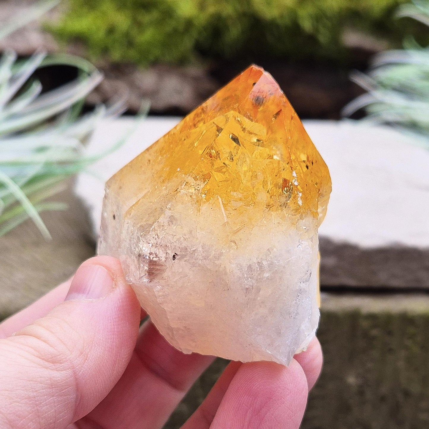 Citrine Crystal Point - Polished Tip | Spiritual Gift | Perfect Display Piece for Home, Office, or Sacred Space