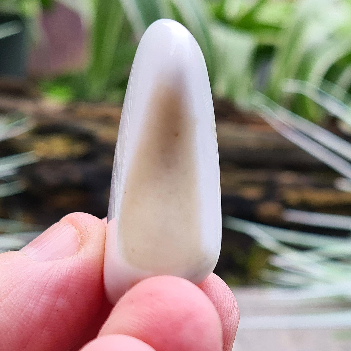 Rare Cacholong Opal from Czech Republic. A smooth, milky white crystal often chosen for calm energy, creative focus, and mindful reflection.