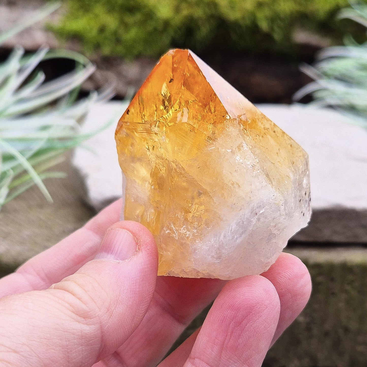 Citrine Crystal Point - Polished Tip | Spiritual Gift | Perfect Display Piece for Home, Office, or Sacred Space