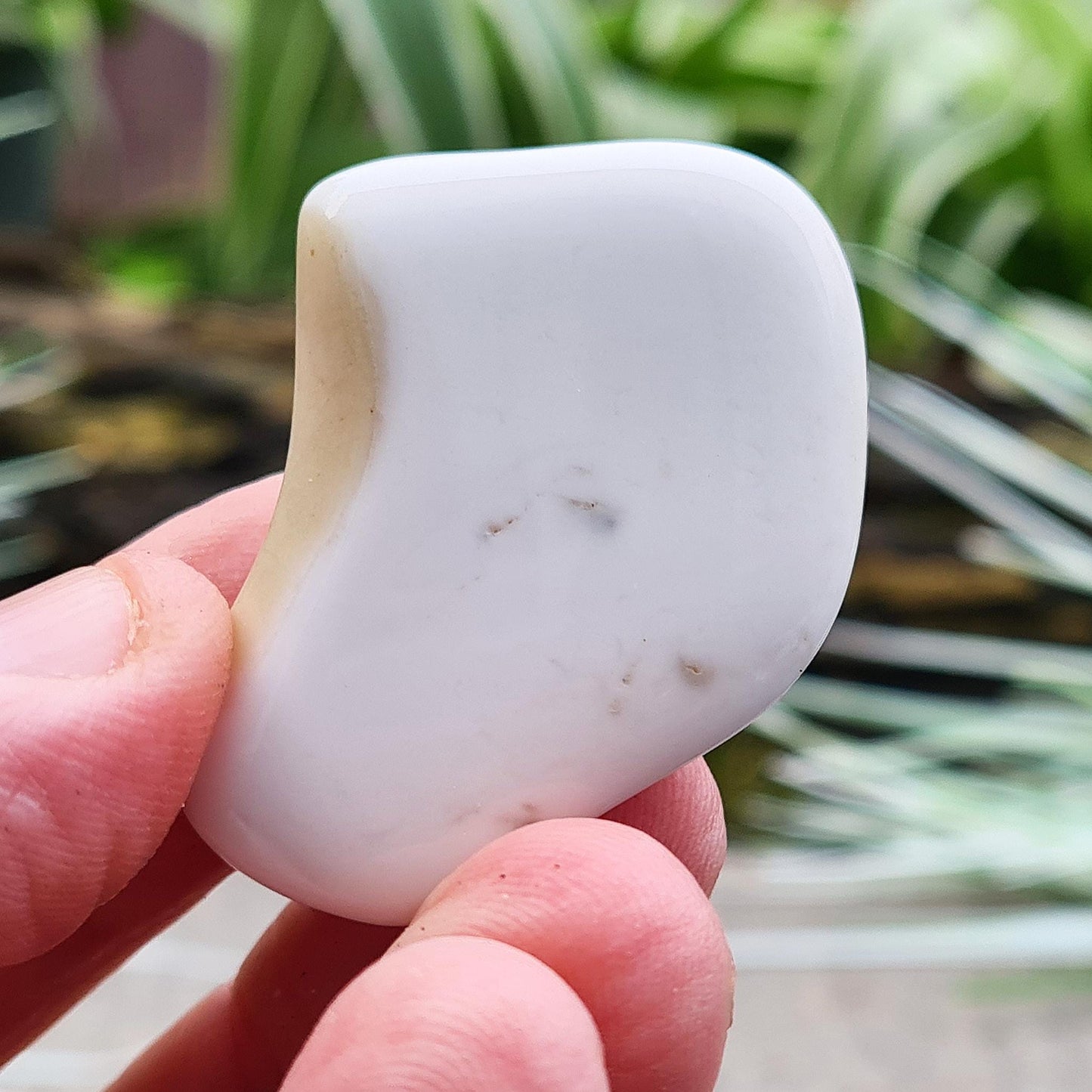 Rare Cacholong Opal from Czech Republic. A smooth, milky white crystal often chosen for calm energy, creative focus, and mindful reflection.
