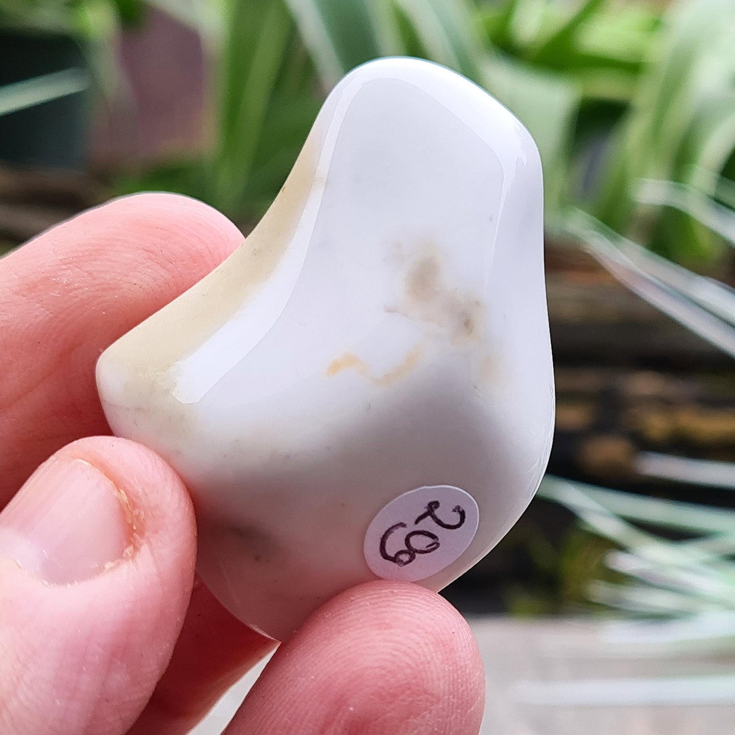 Rare Cacholong Opal from Czech Republic. A smooth, milky white crystal often chosen for calm energy, creative focus, and mindful reflection.