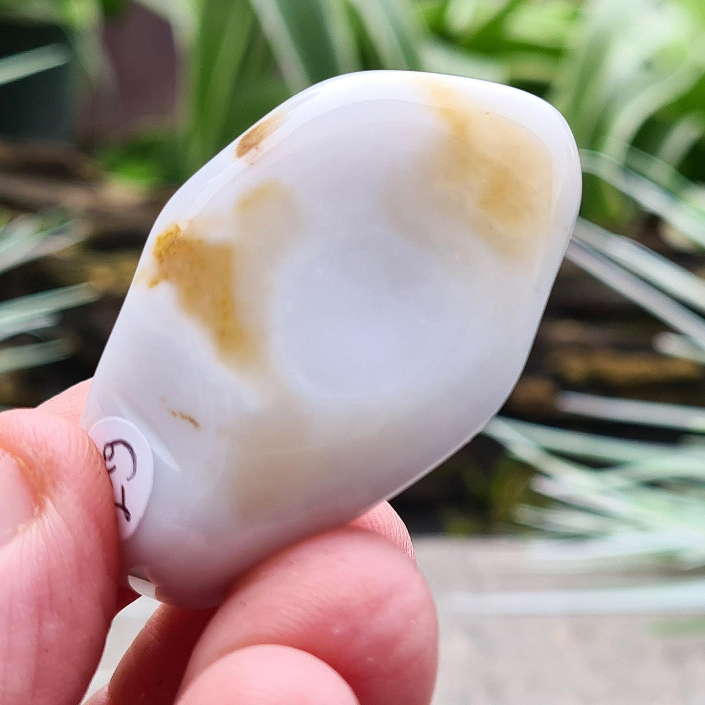 Polished Cacholong Opal crystal – a unique Czech white opal valued for its soft tones and use in peaceful, creative, and grounding spaces.